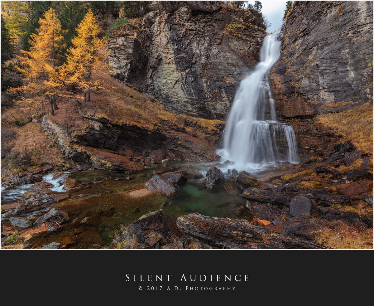 Silent Audience