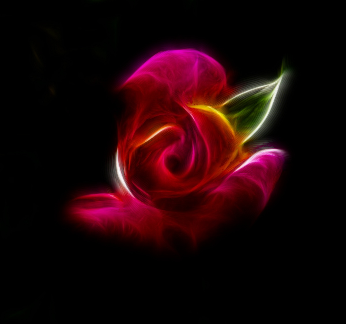 Rose Art 3
