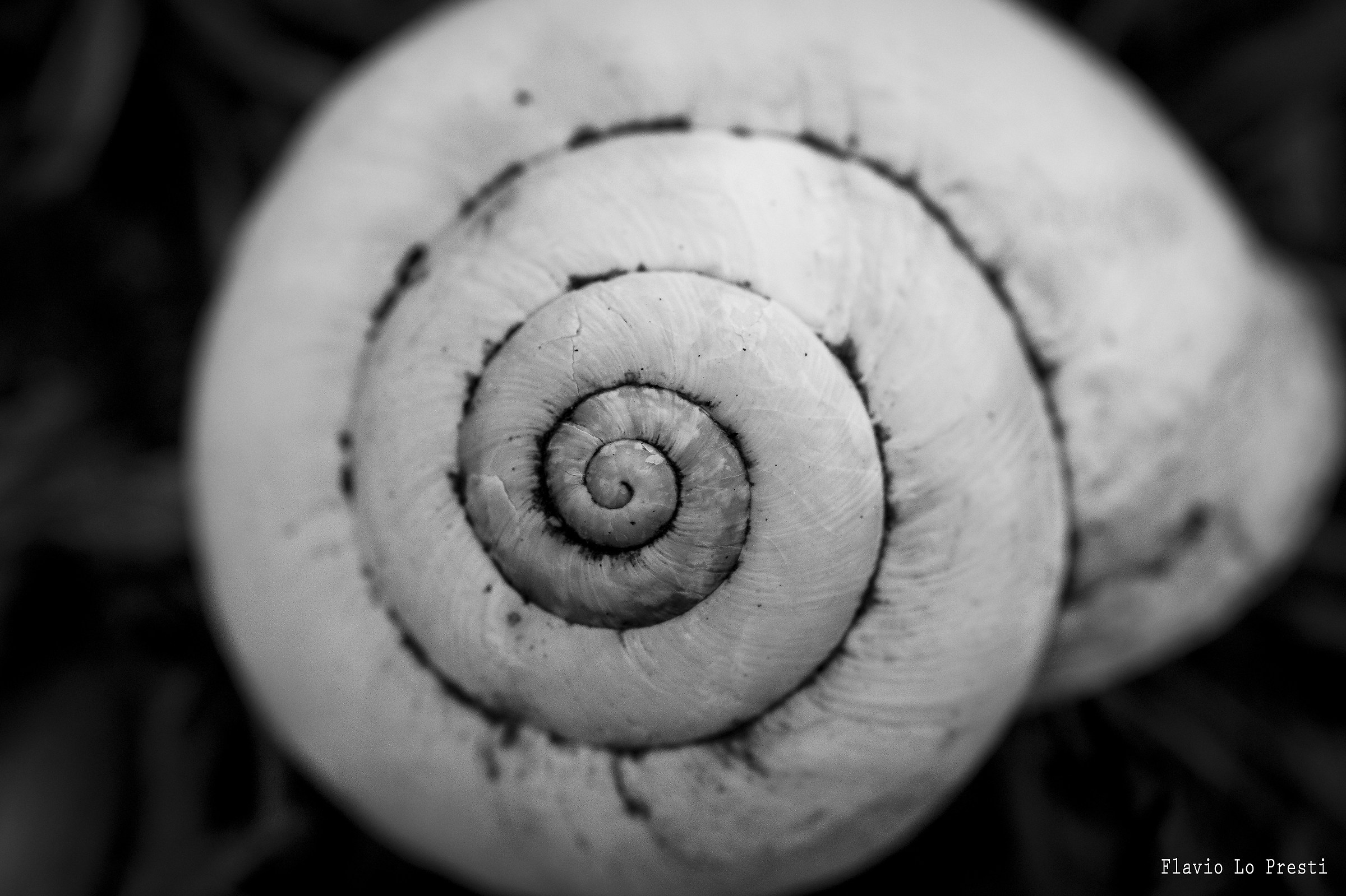 Spirale