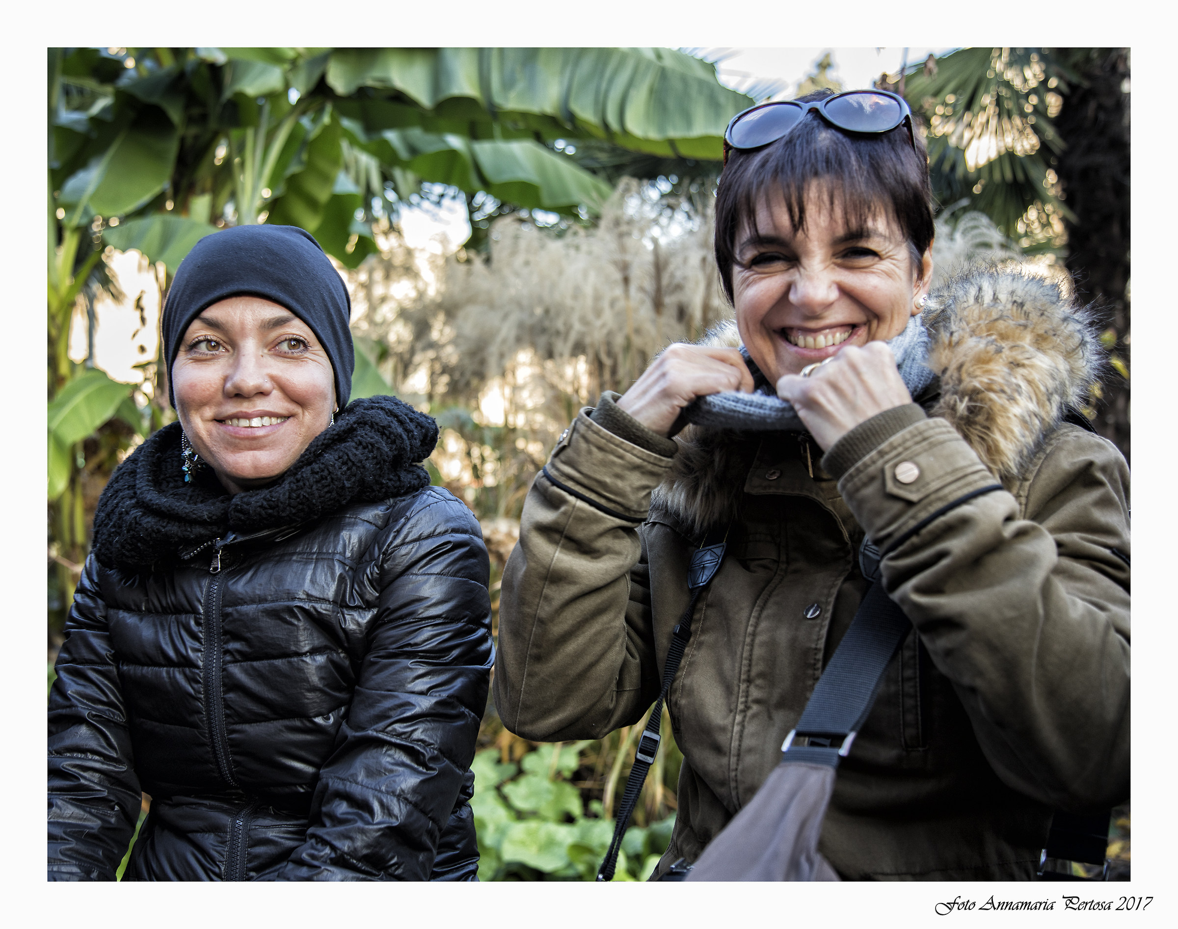 Cioccolataia e Soniax