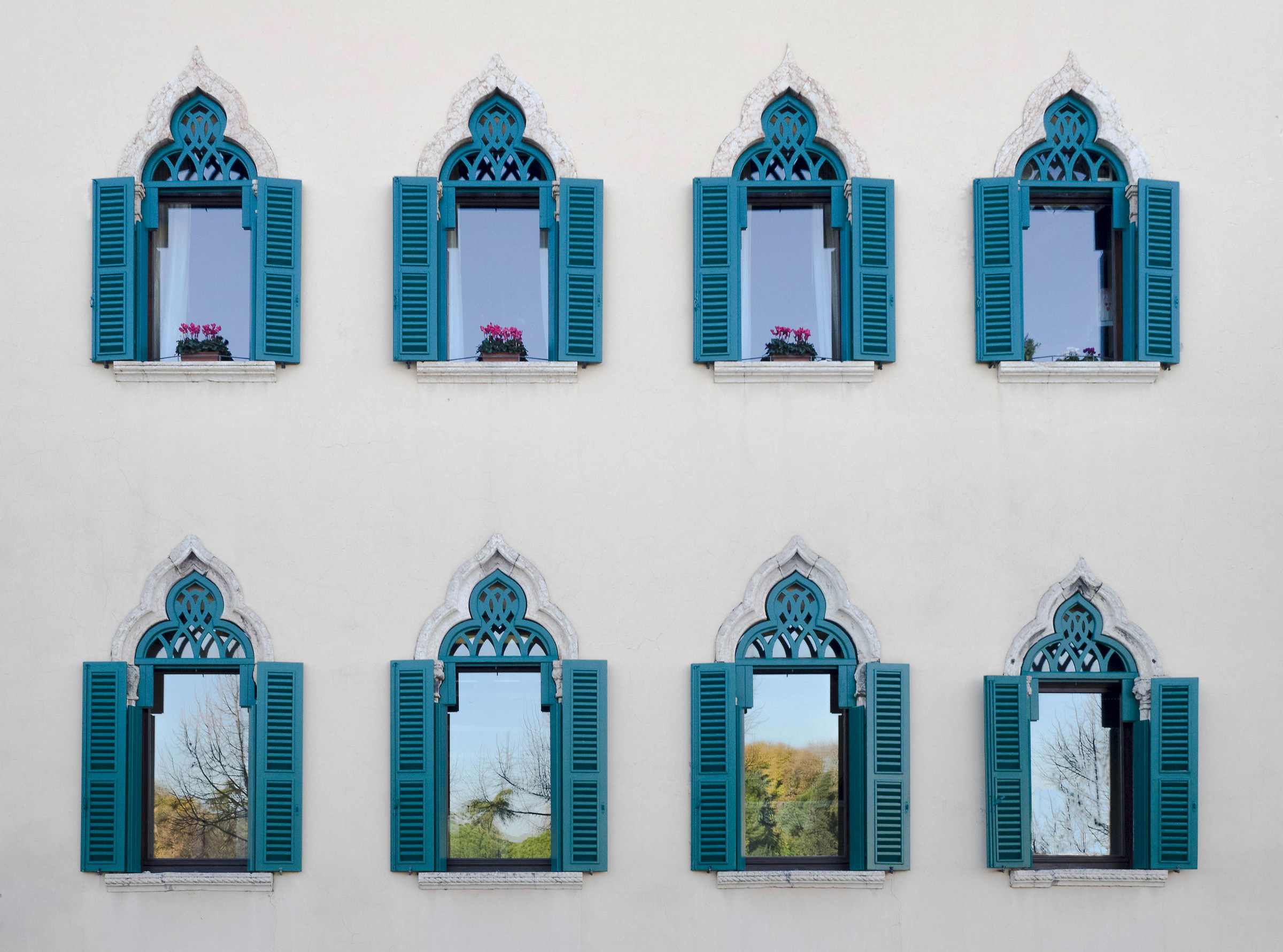 A forest in the house