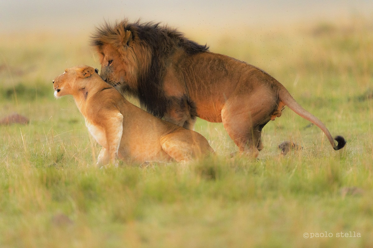 before xxxxxx........