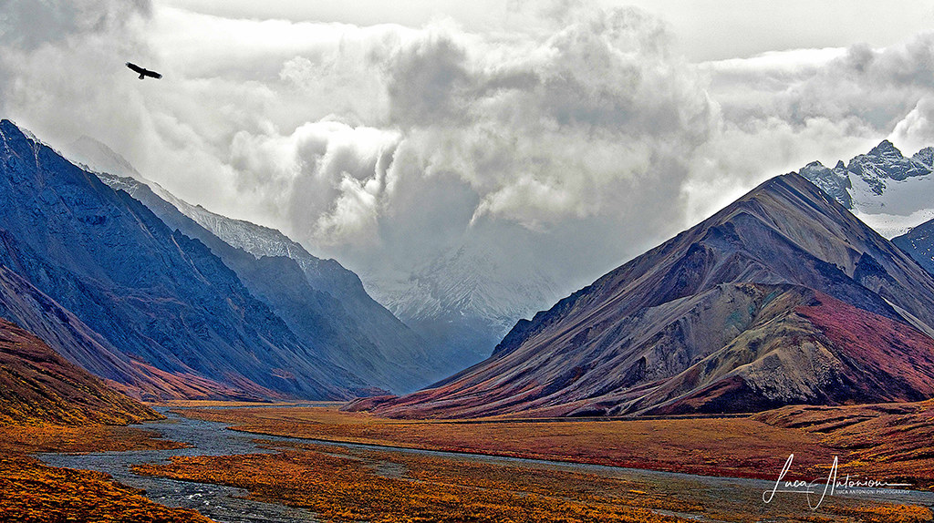 Denali Park