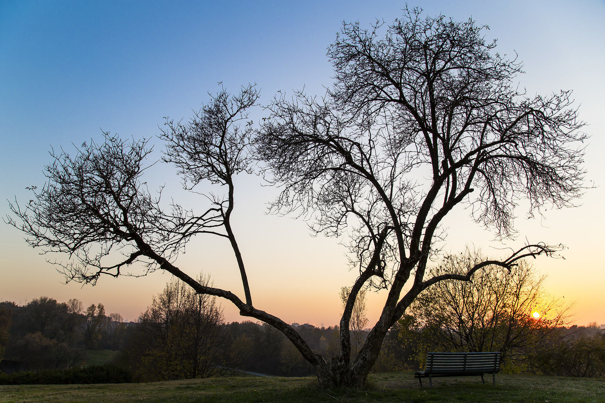 silhouette al tramonto