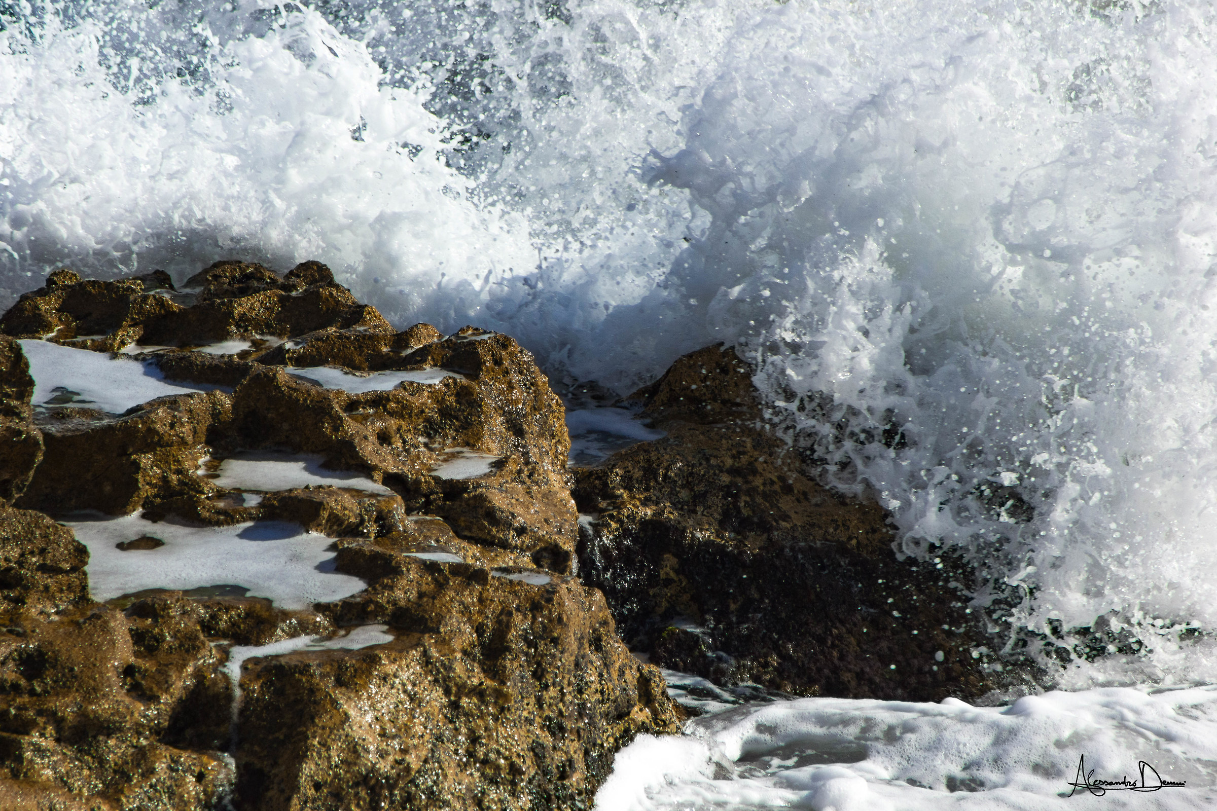 "Life is like a wave"