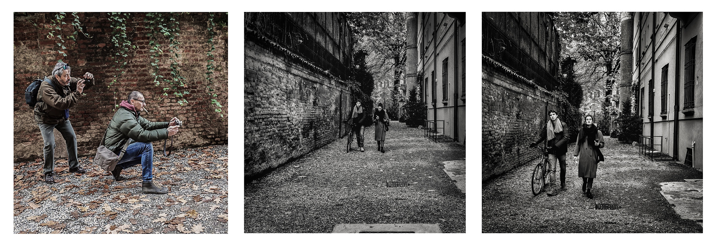 Fiuta, inquadra, cattura