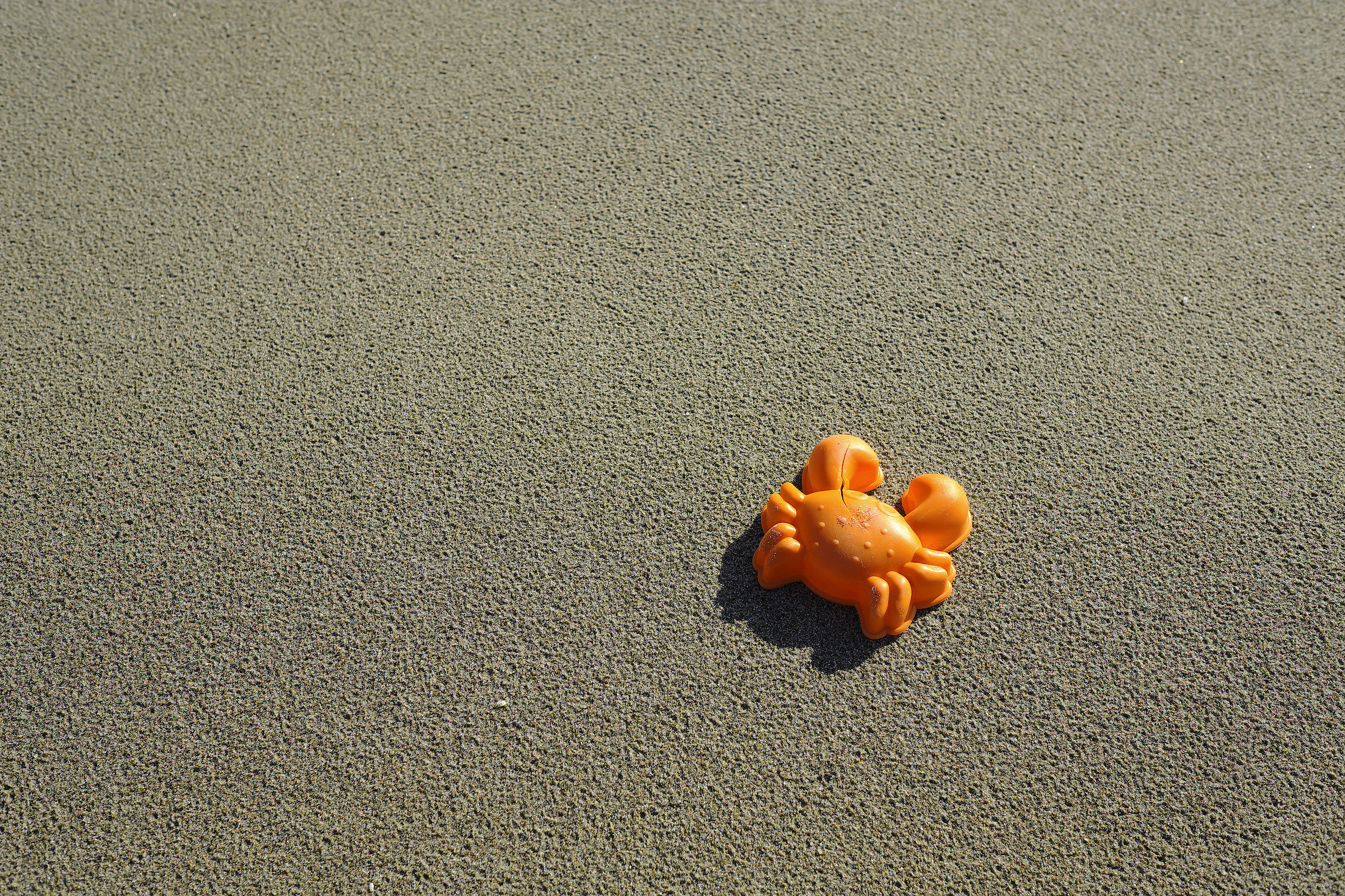 Occhio al Granchio...!!!