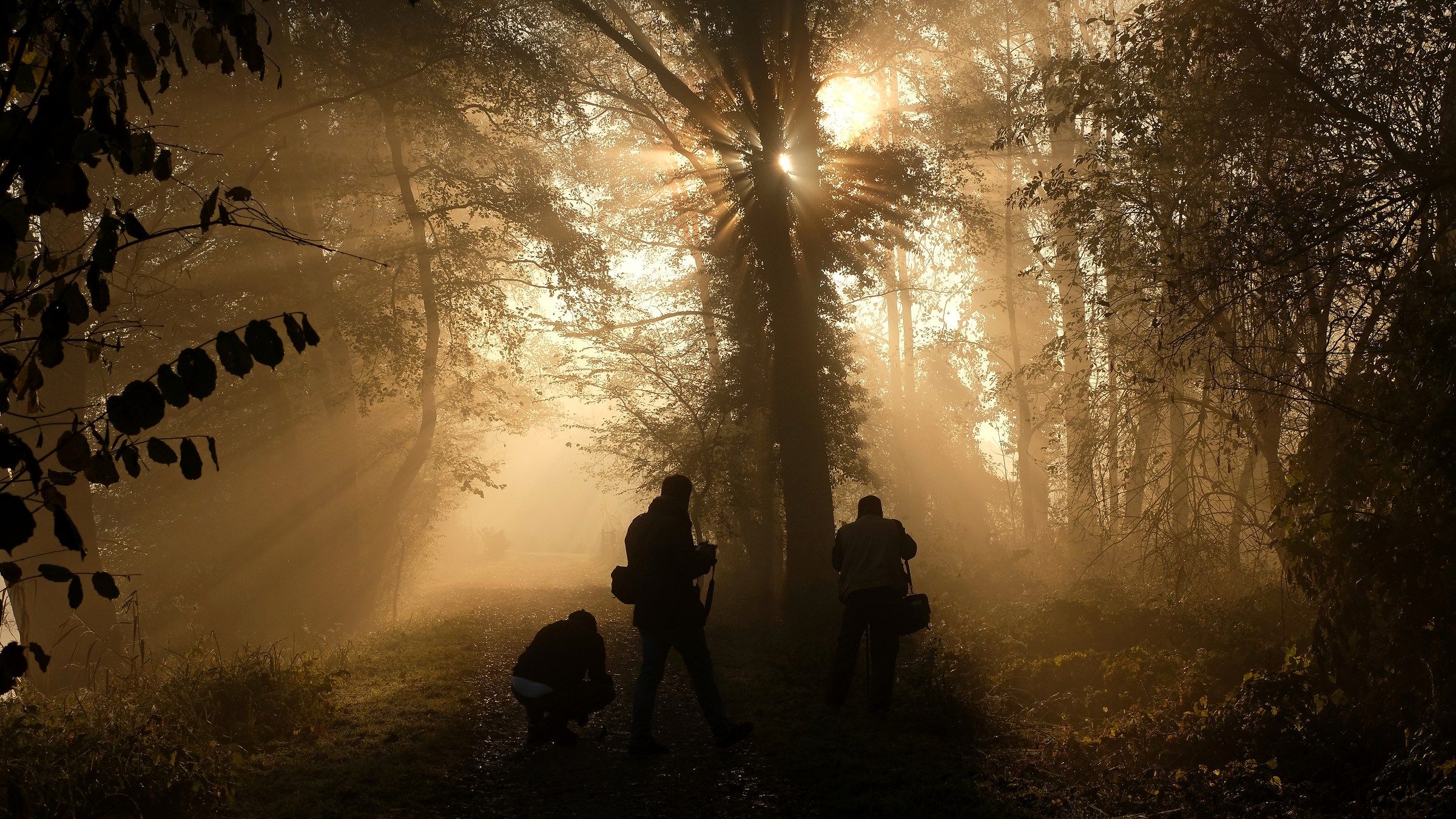 juzzini at work .......