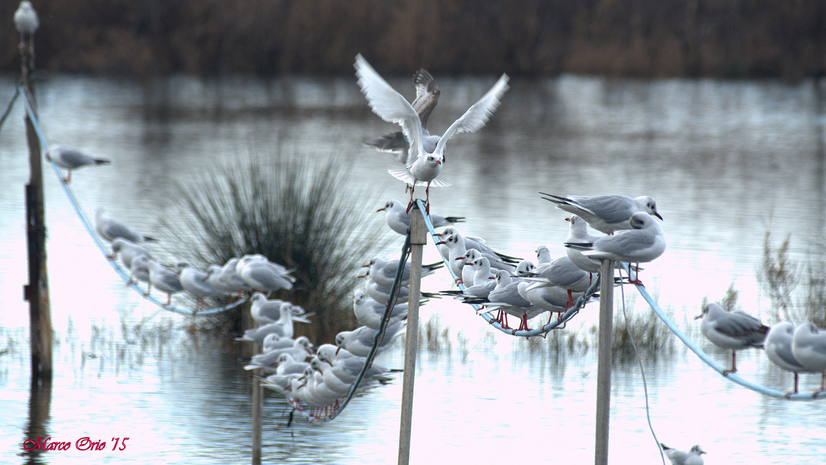 Riunione di Condominio