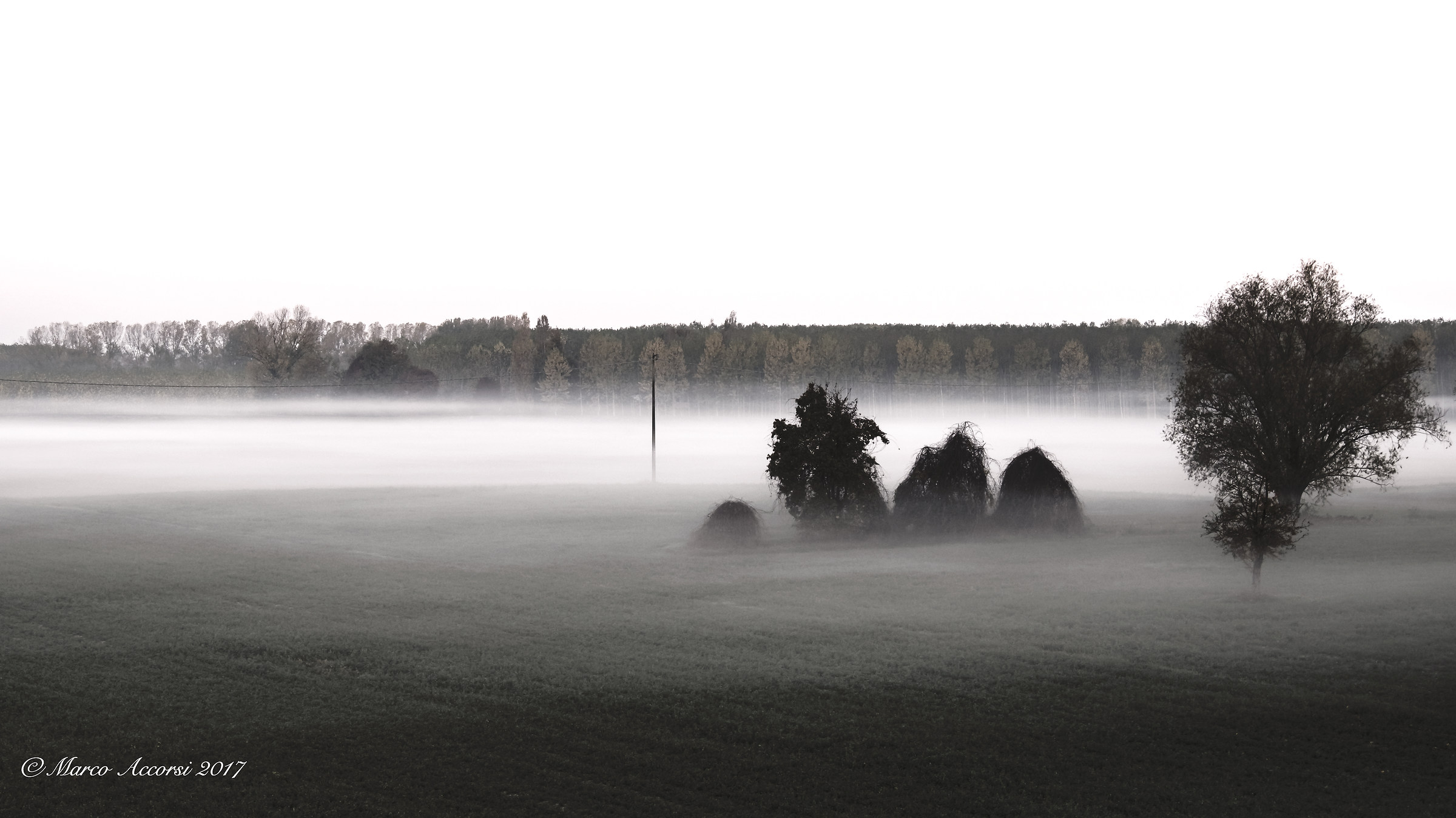 Golena di primissimo mattino