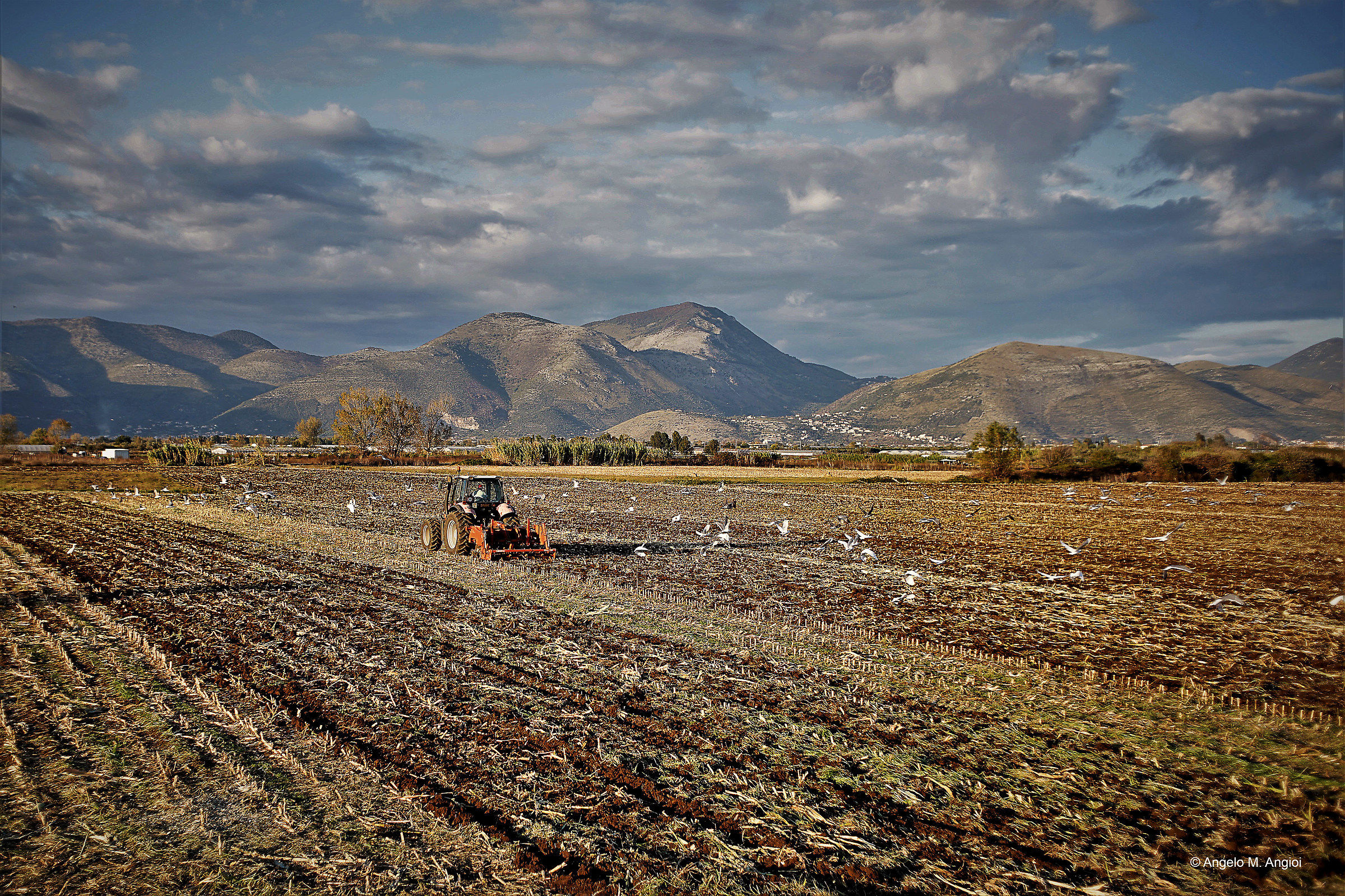 field work and goblins
