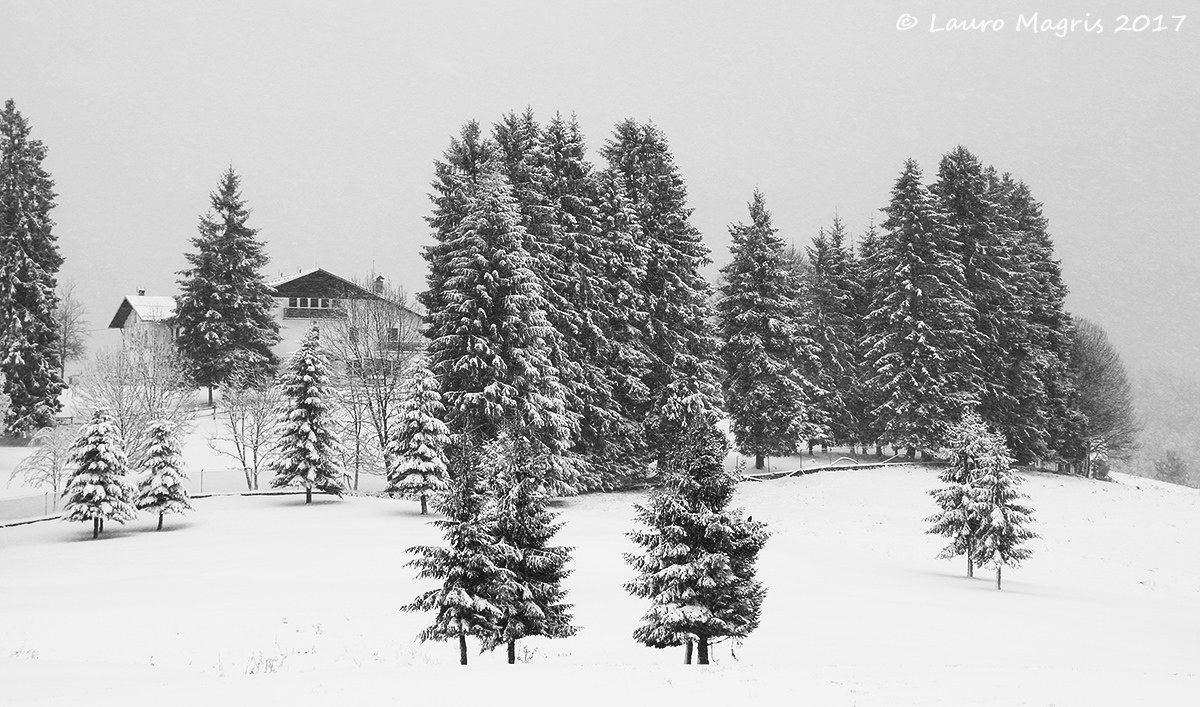 Stazione del Corpo Forestale Carabinieri nella tormenta