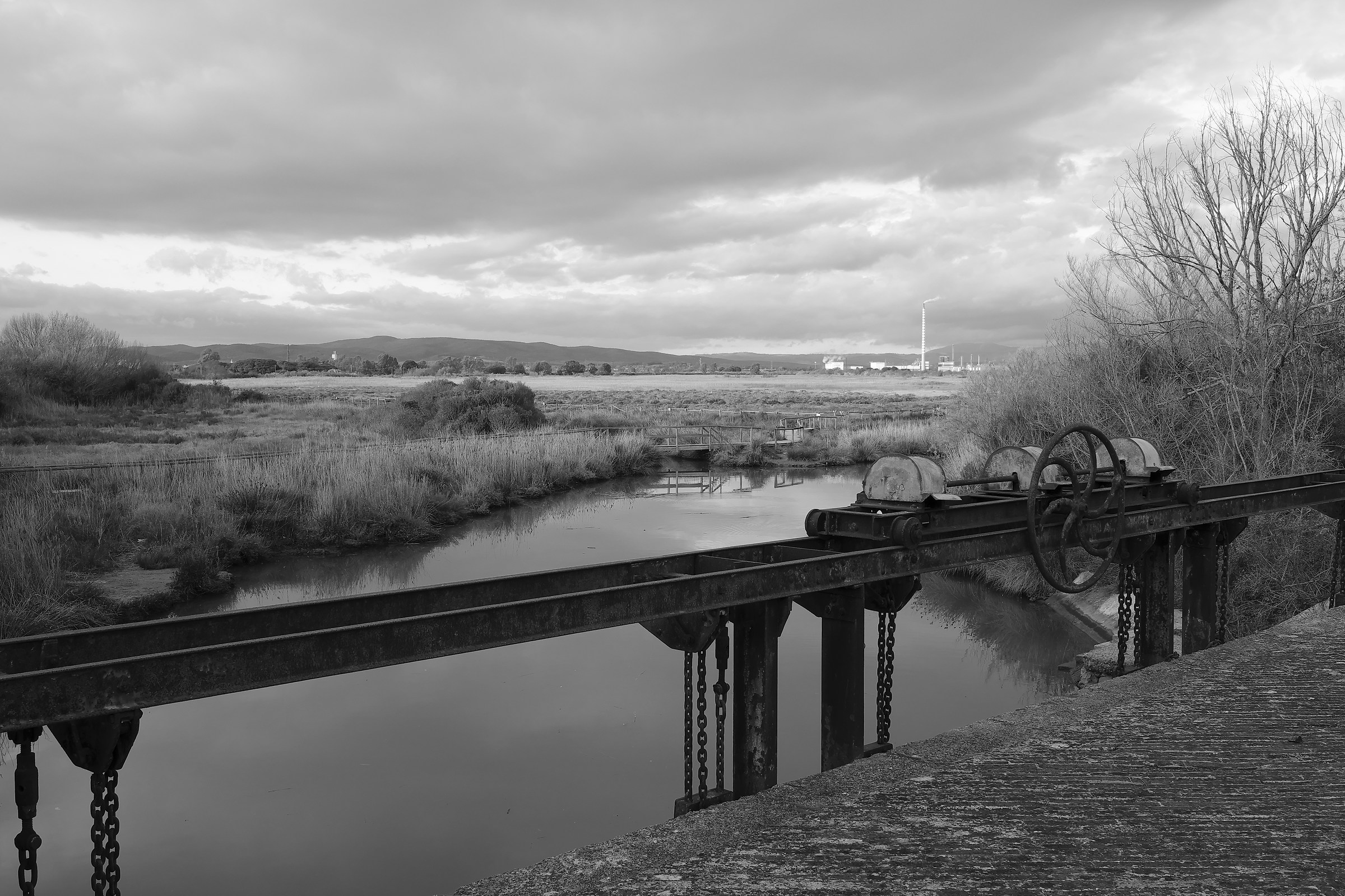 The Padule del Puntone