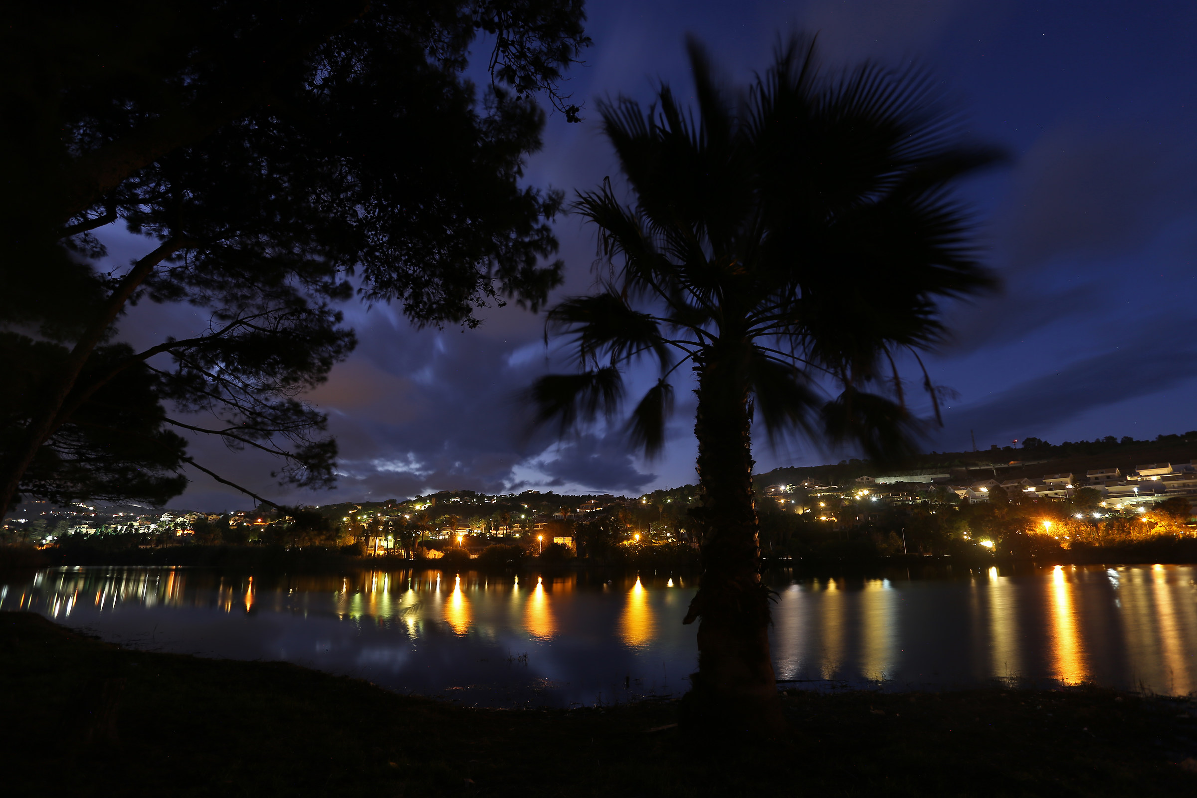 The palm tree on the lake at nightfall
