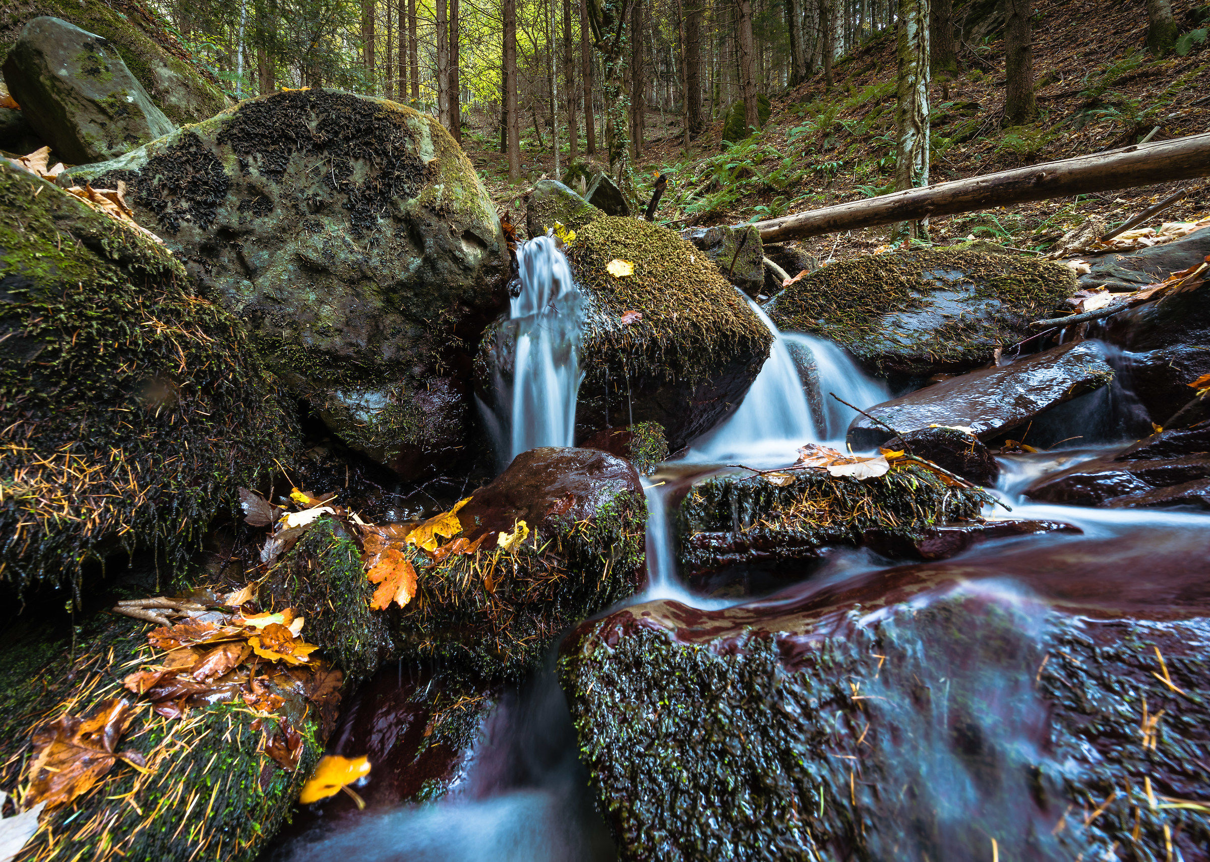 Between the beauty of Casentino