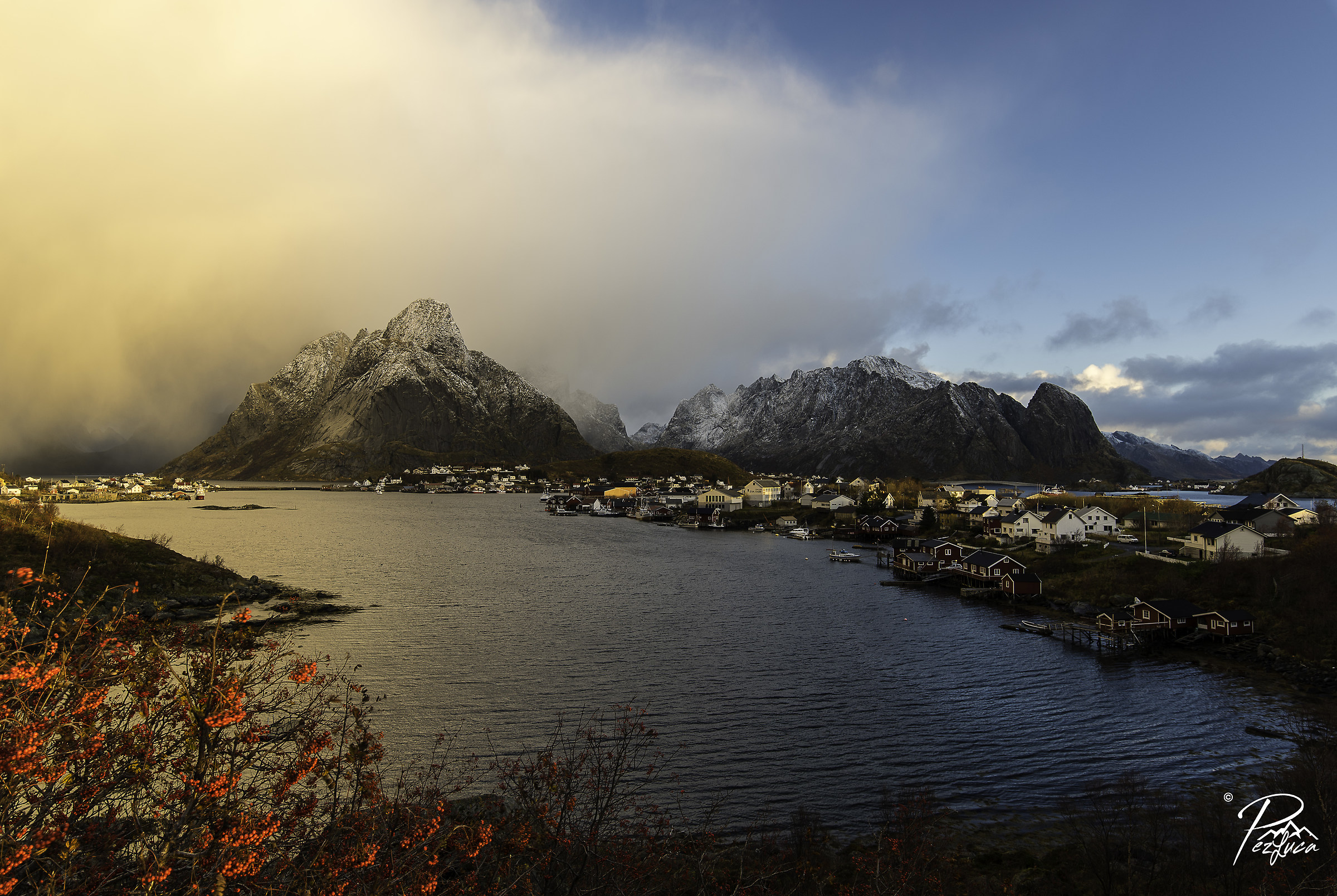 Reine