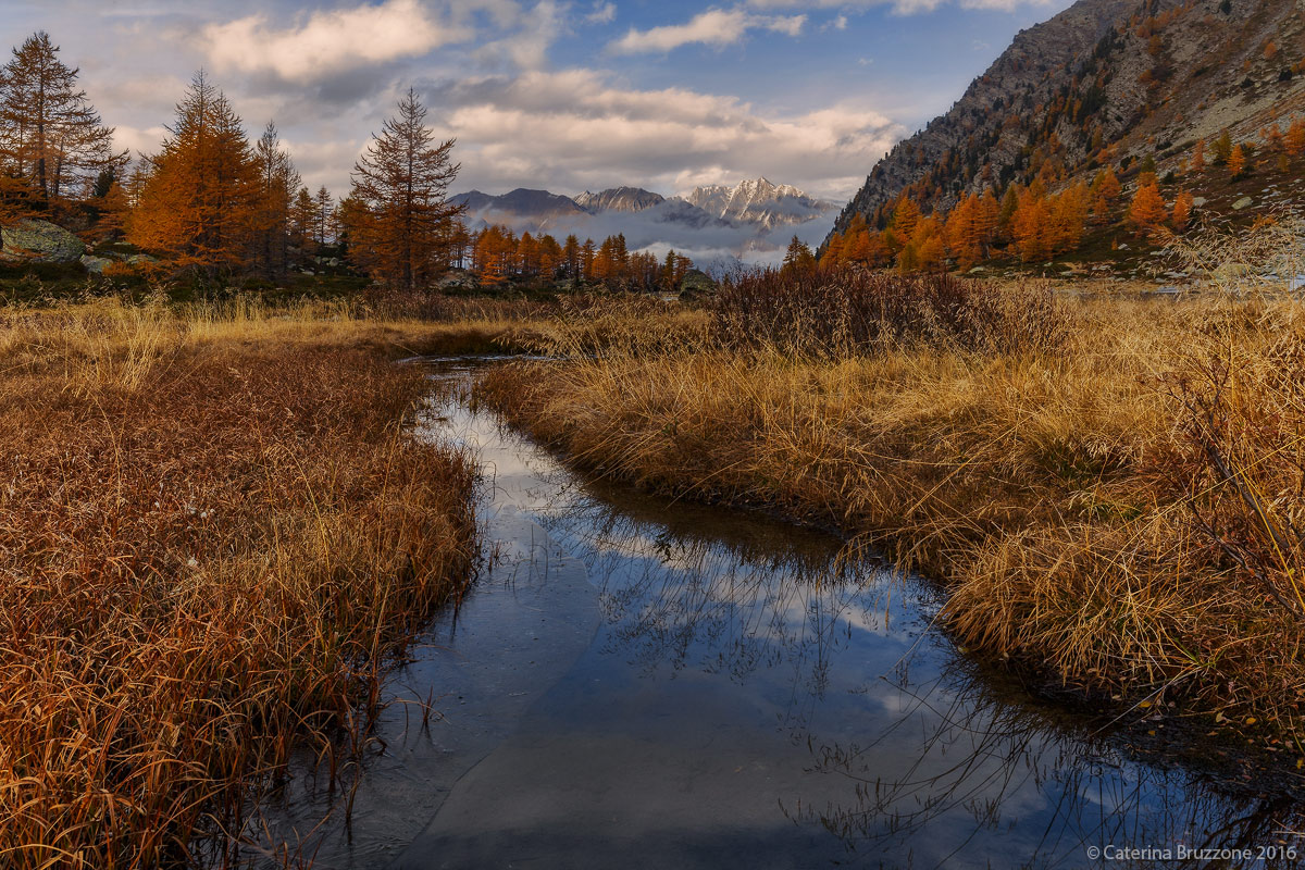 The cold autumn of Arpy