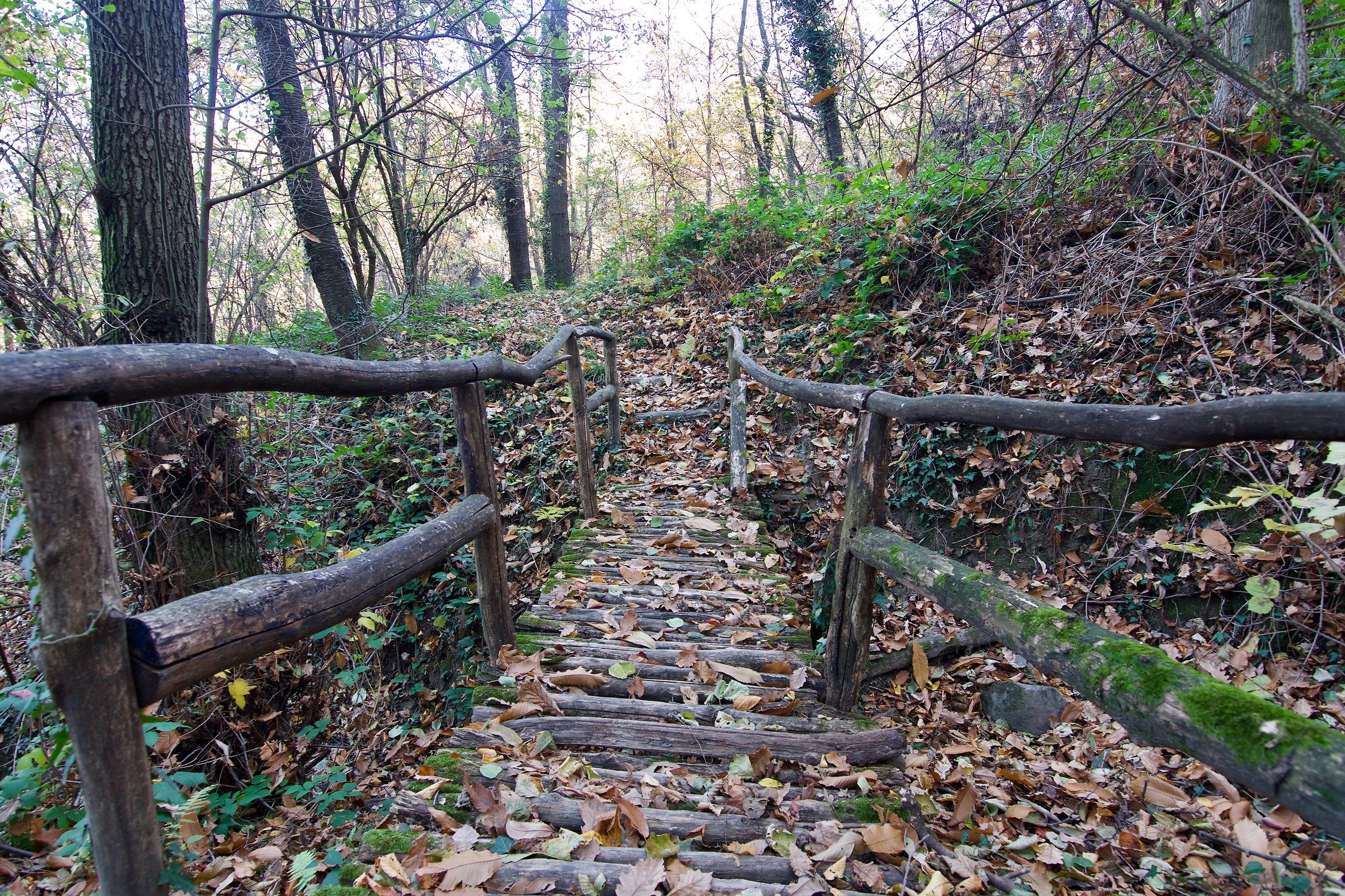 following the steps of "Samir"