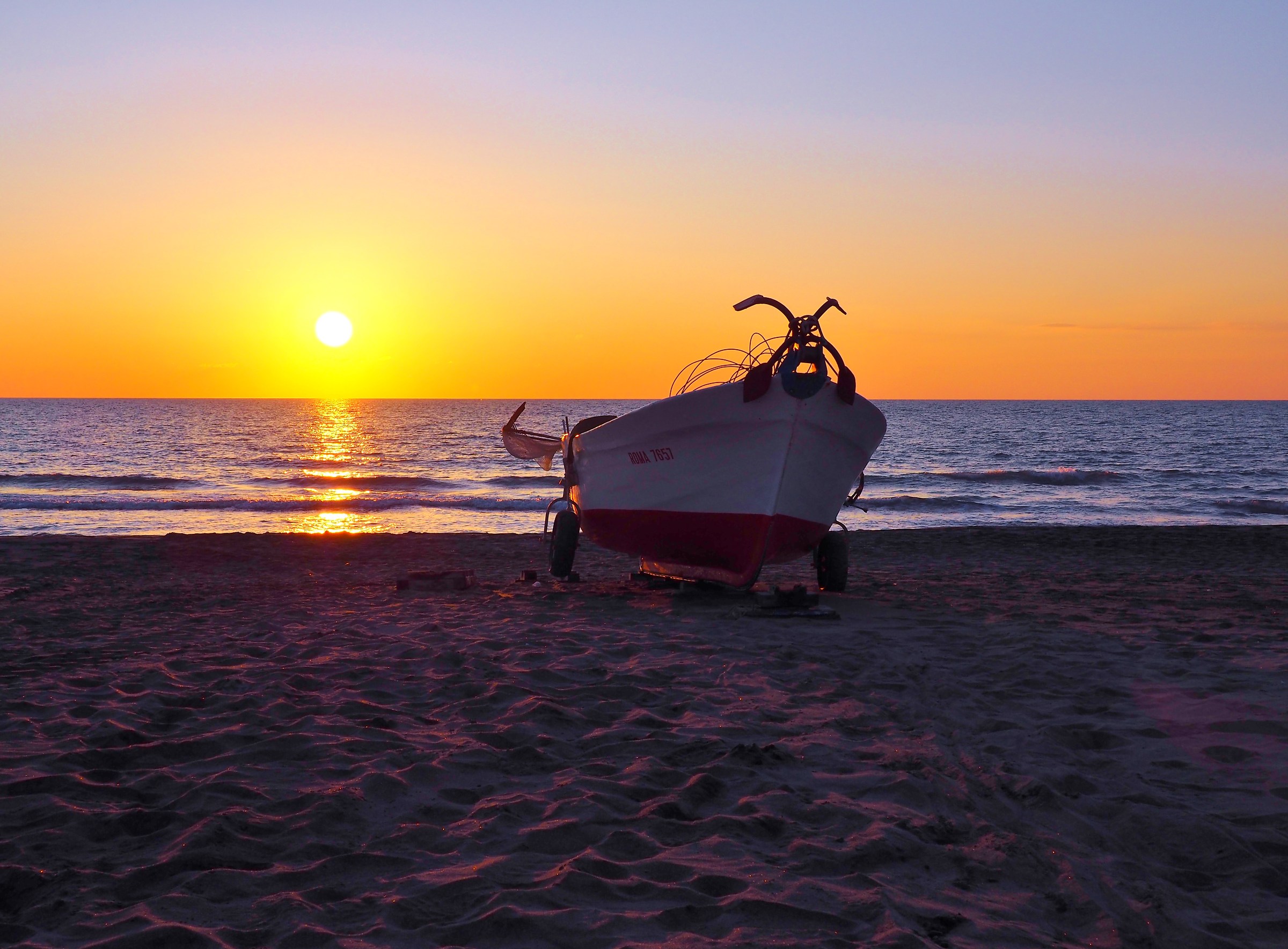 First shot with Olympus