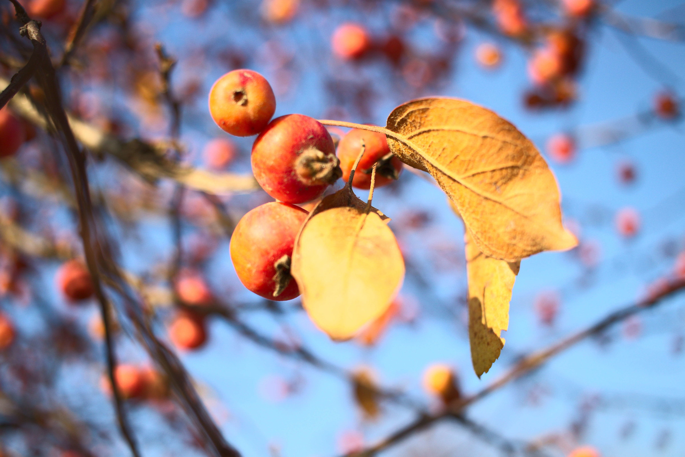 They want to get out