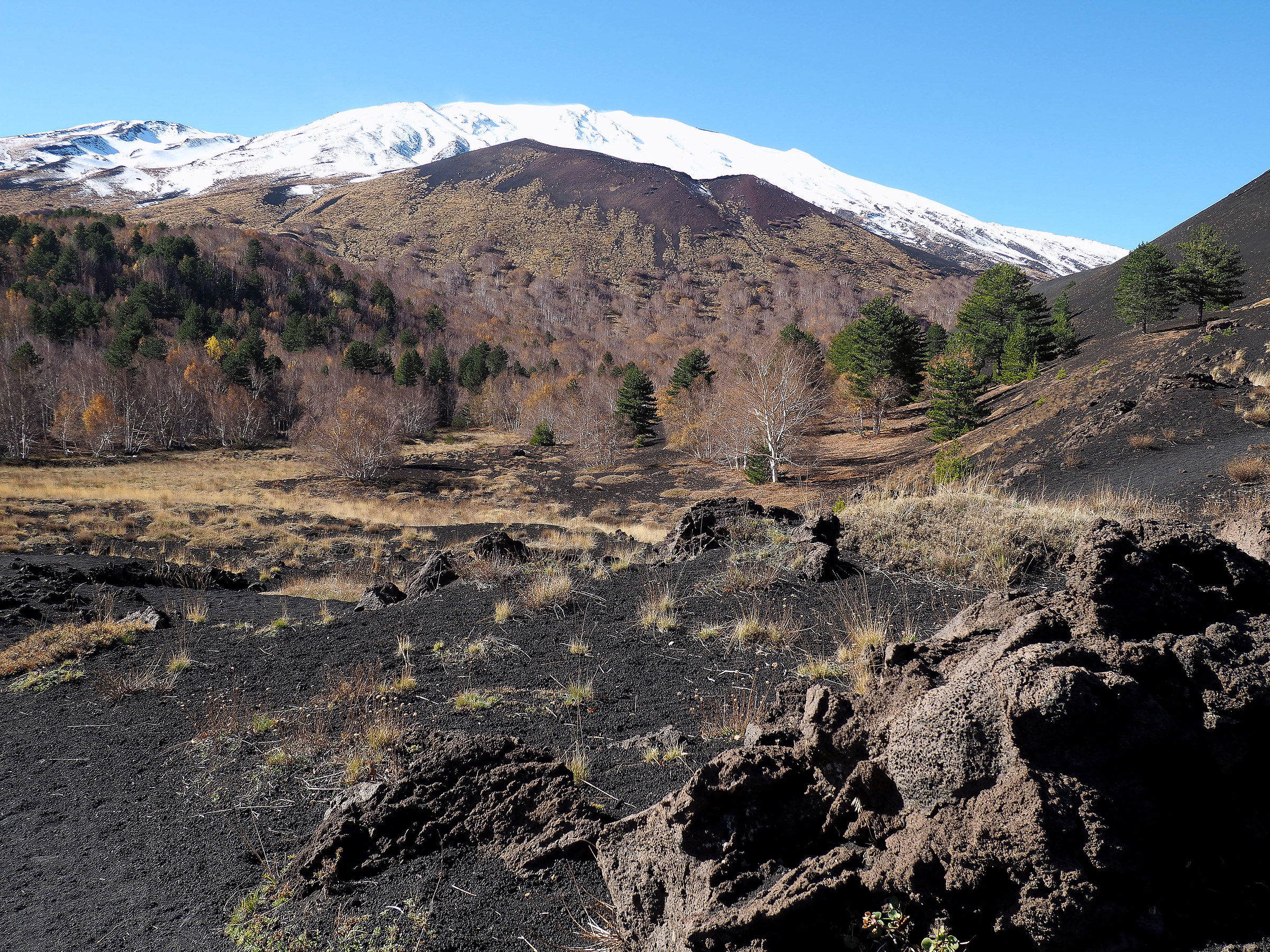 Etna-Monti Sartorius.
