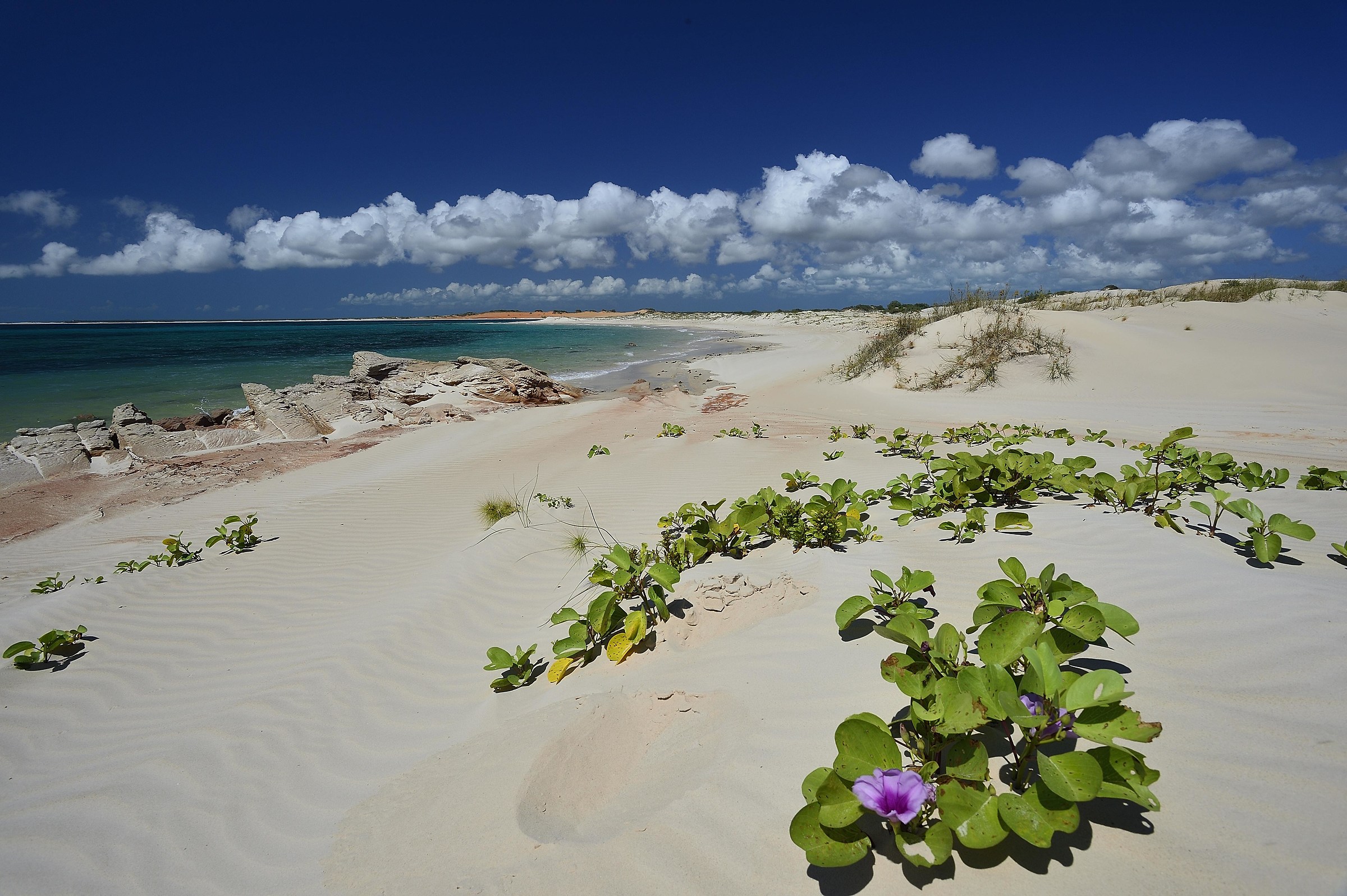 west coast Australia