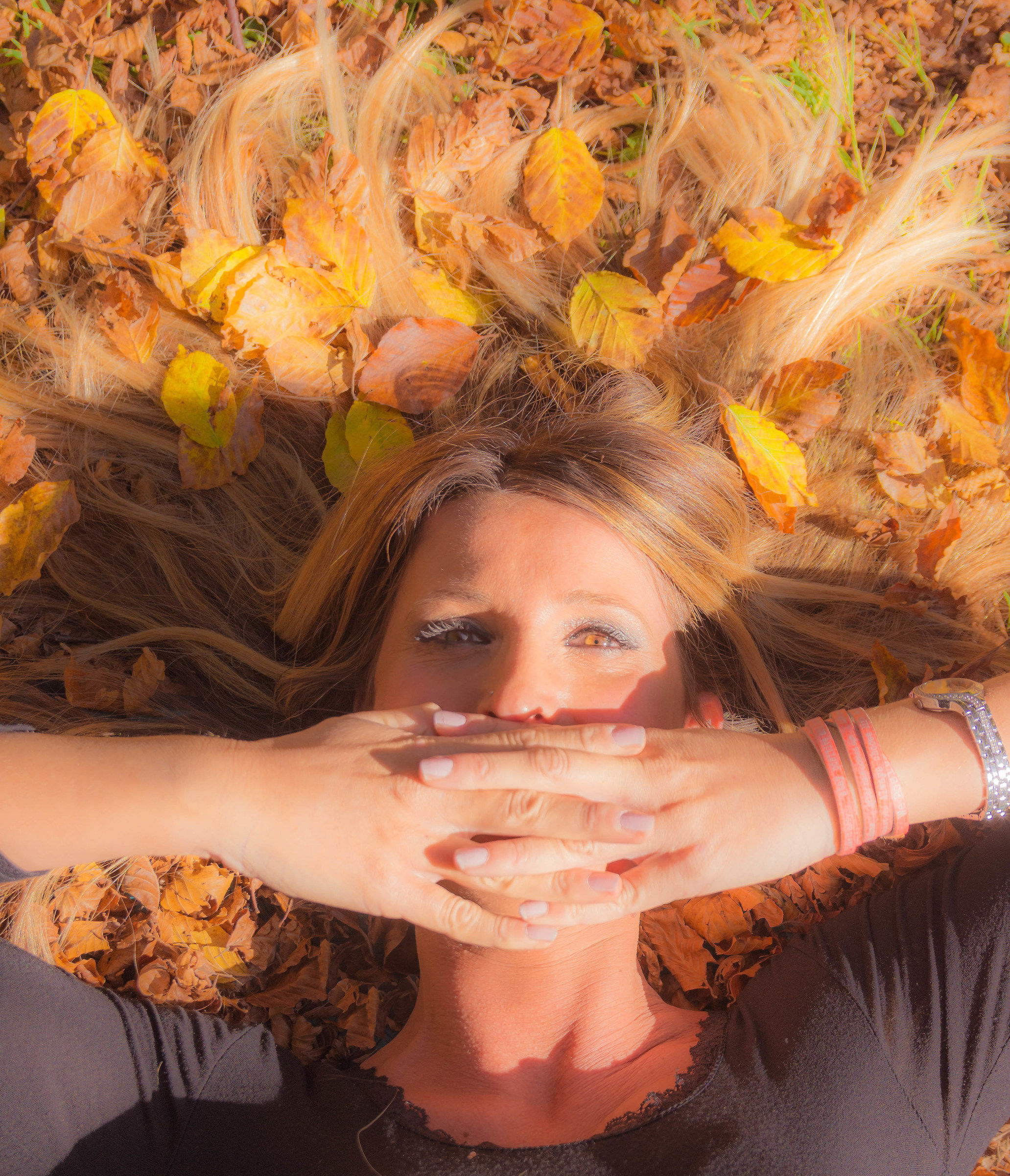 the silence of the woods