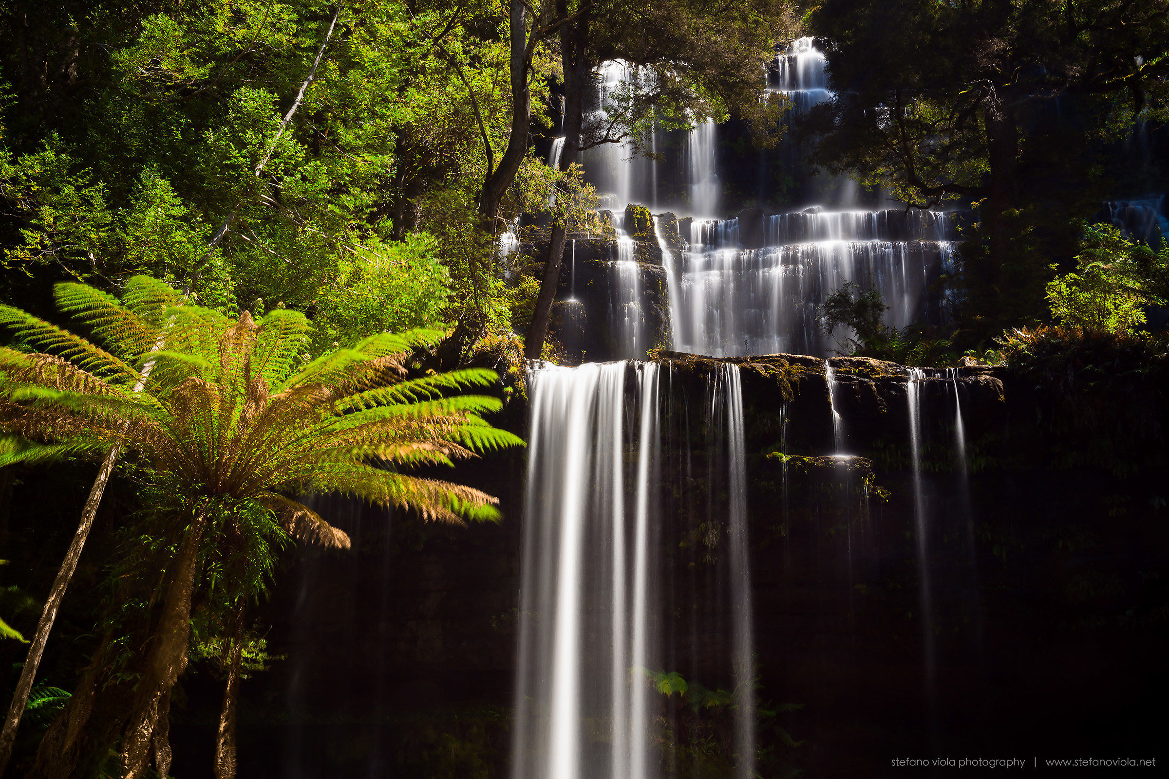 Russell Falls | Tasmania