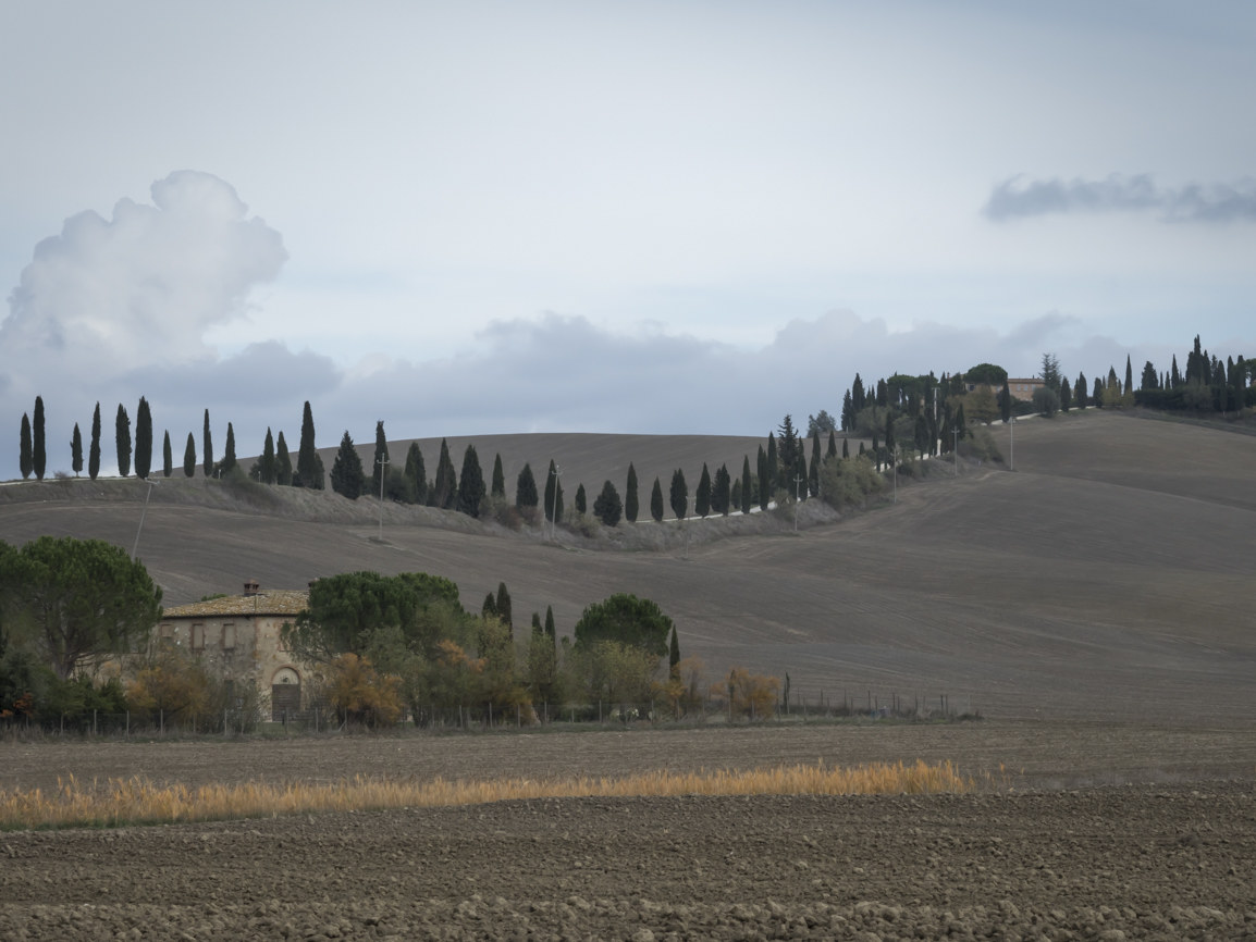 Autunno dorato alle Crete