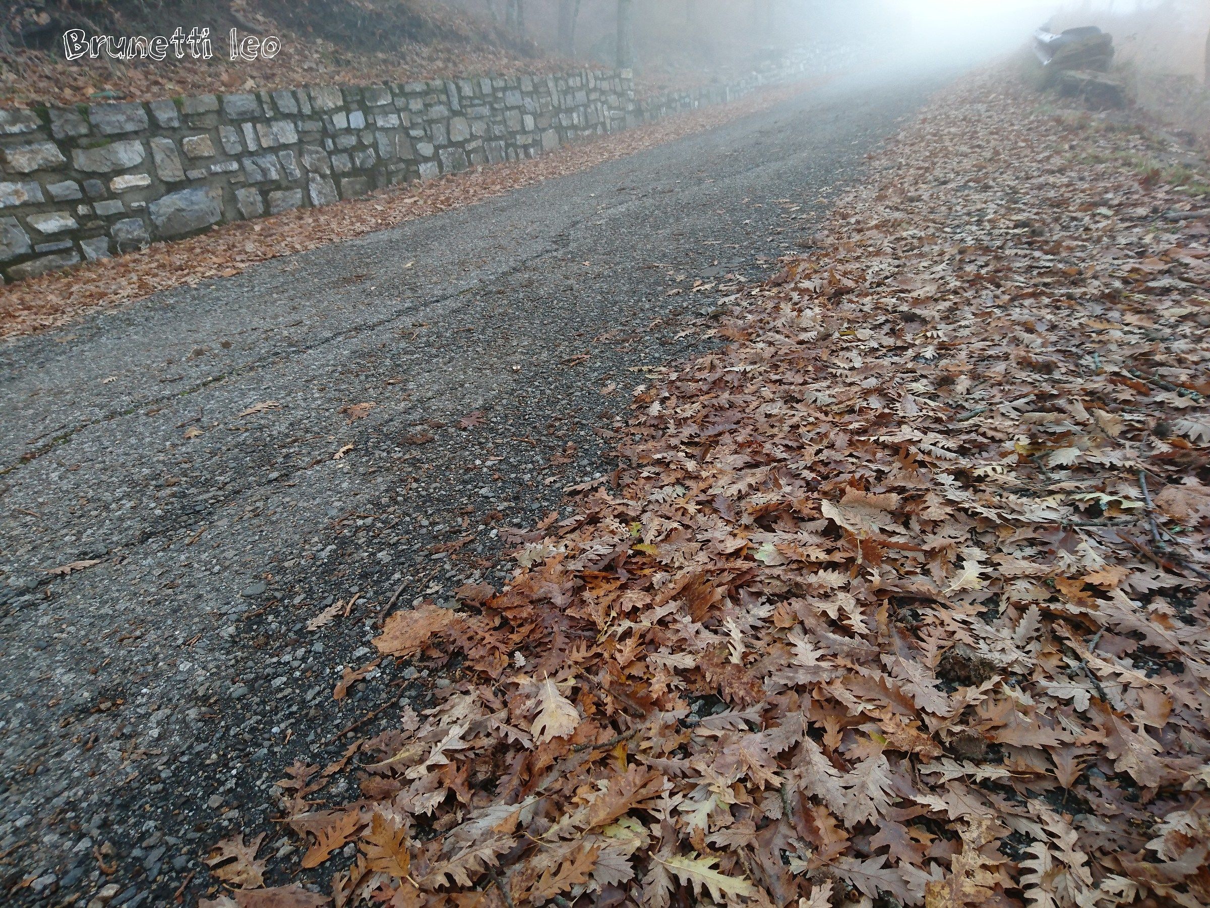 Road to the Pollino National Park