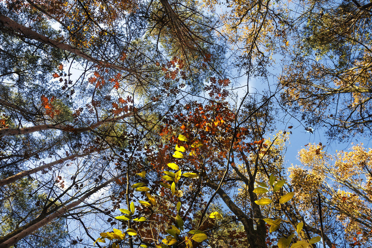 Uno sguardo al cielo