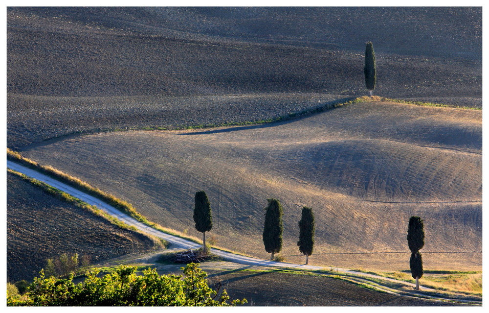 Val d'Orcia: a look from the heights of Pienza