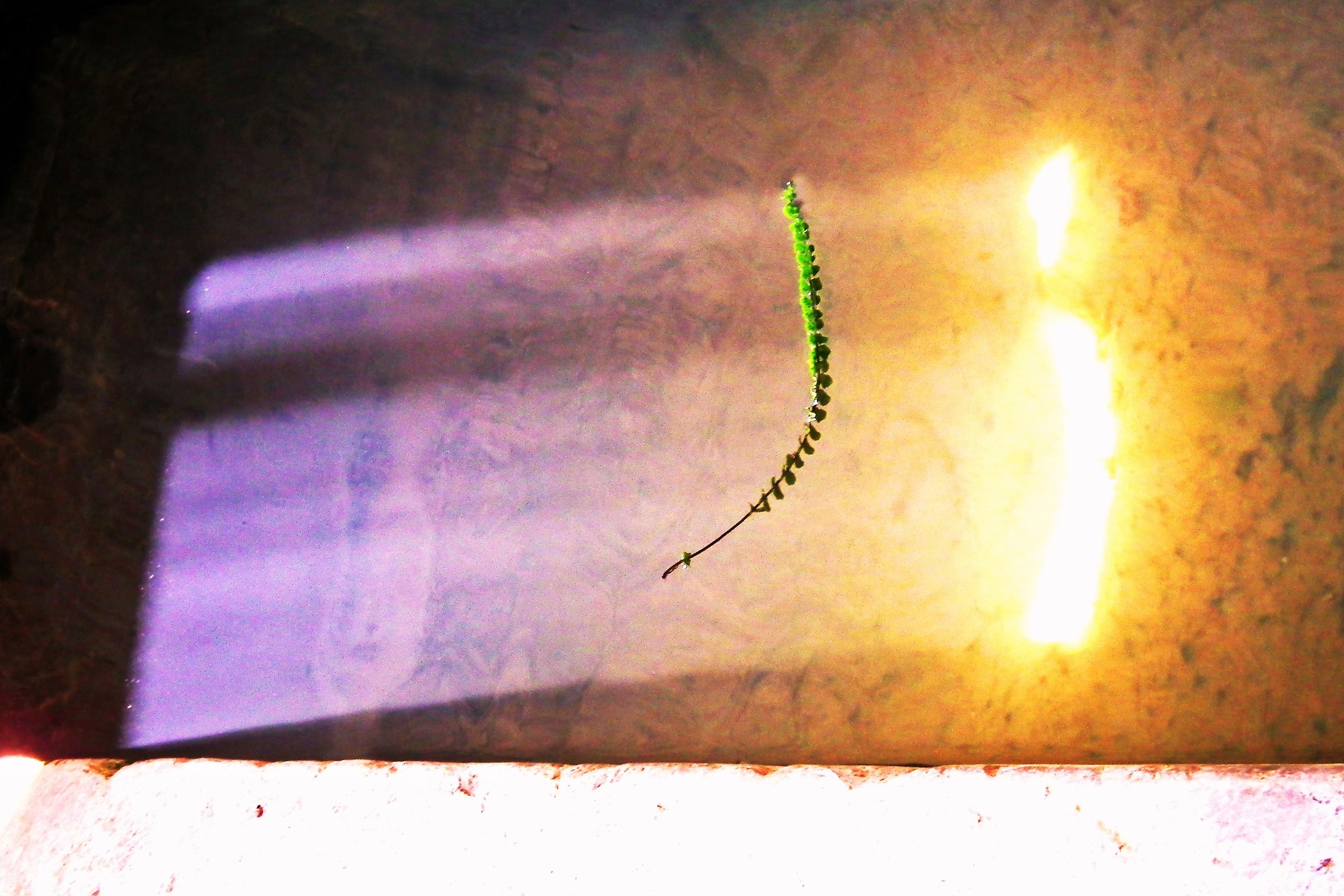 3143 - ...... and be the light !! - BG Valcava