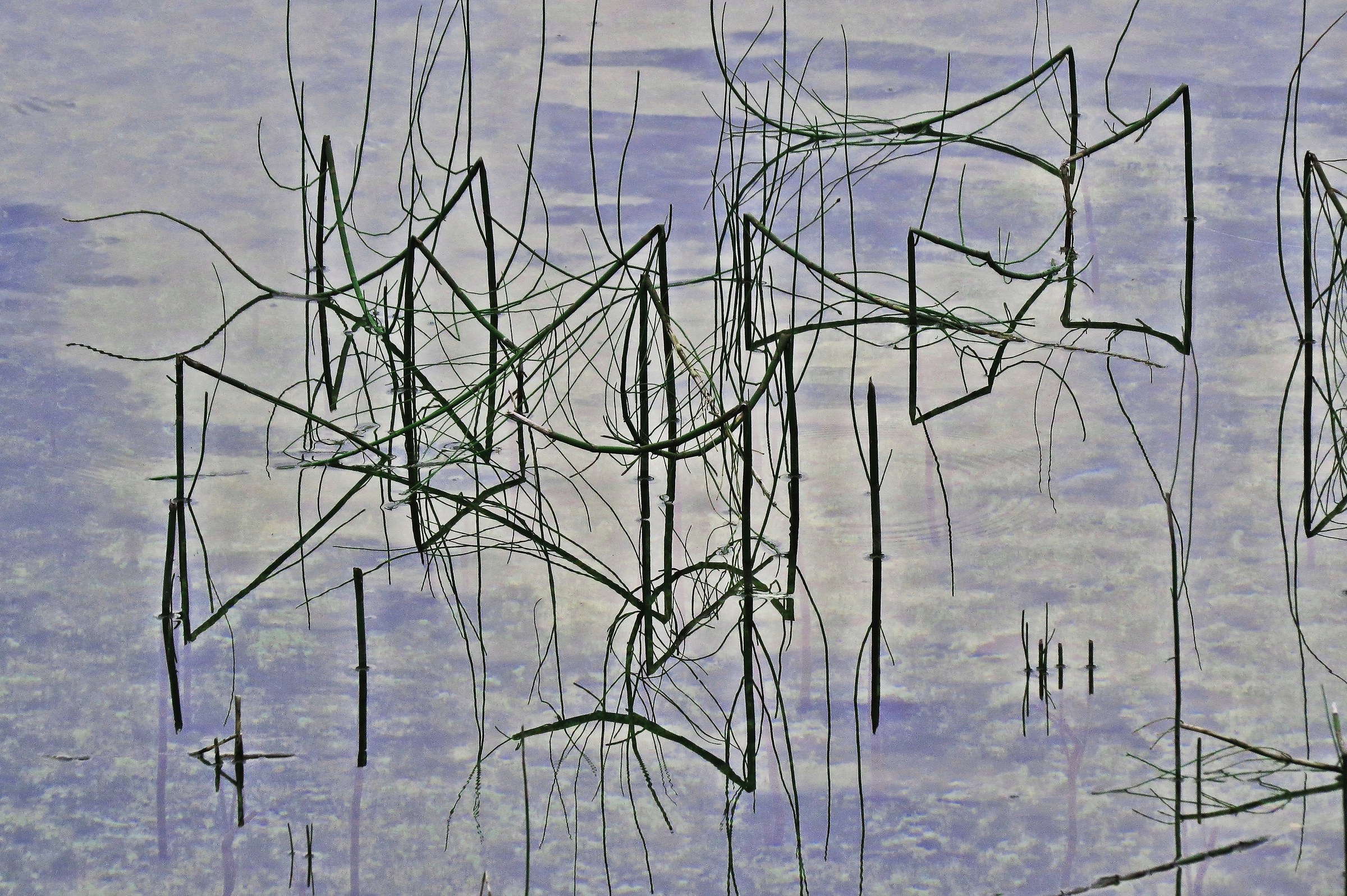 3161 - water graffiti - BZ Dobbiaco surroundings