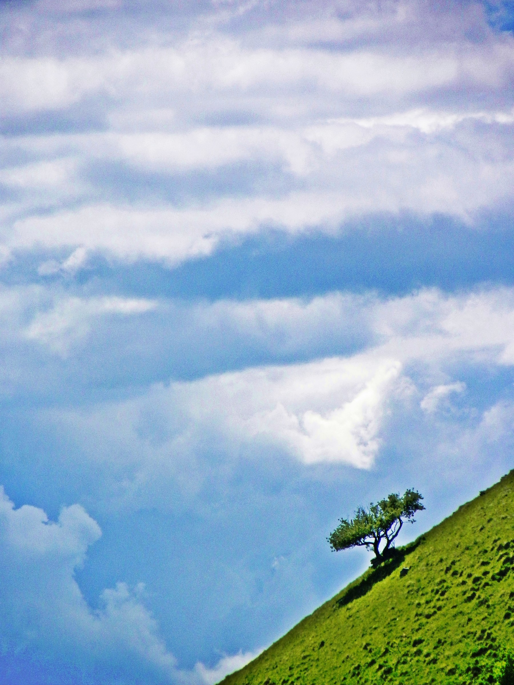 3194 - appartiene al cielo, non alla terra