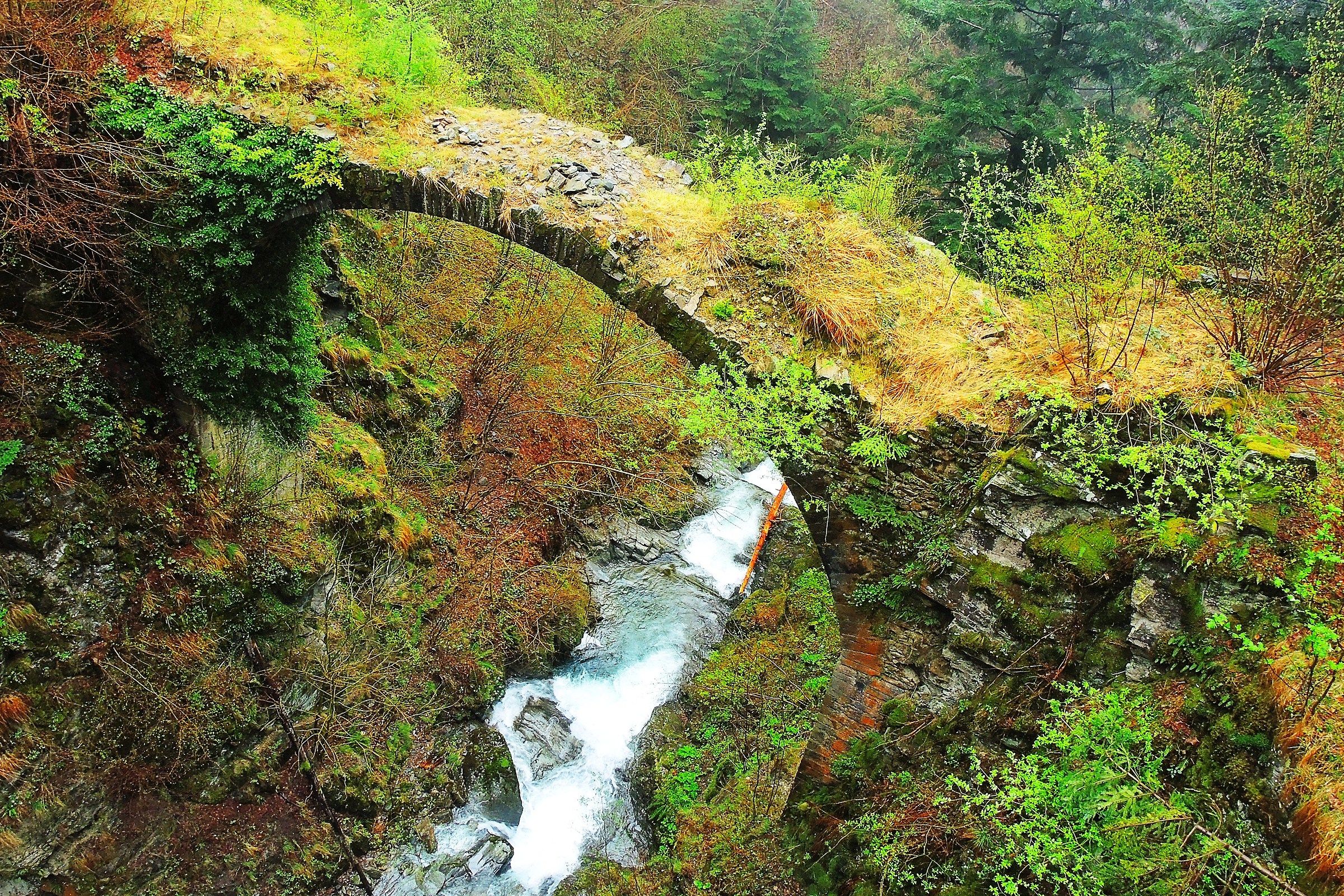 3202 - dreary ruins - SO Val Gerola