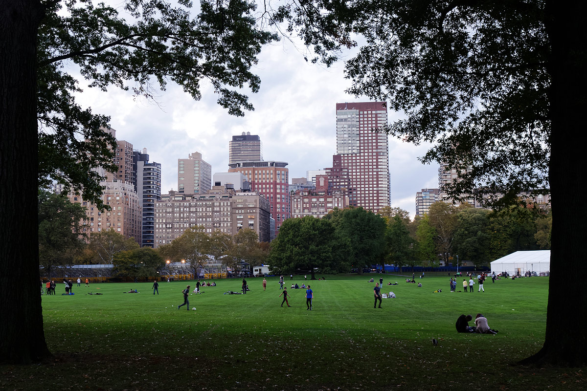 Playing in Central Park