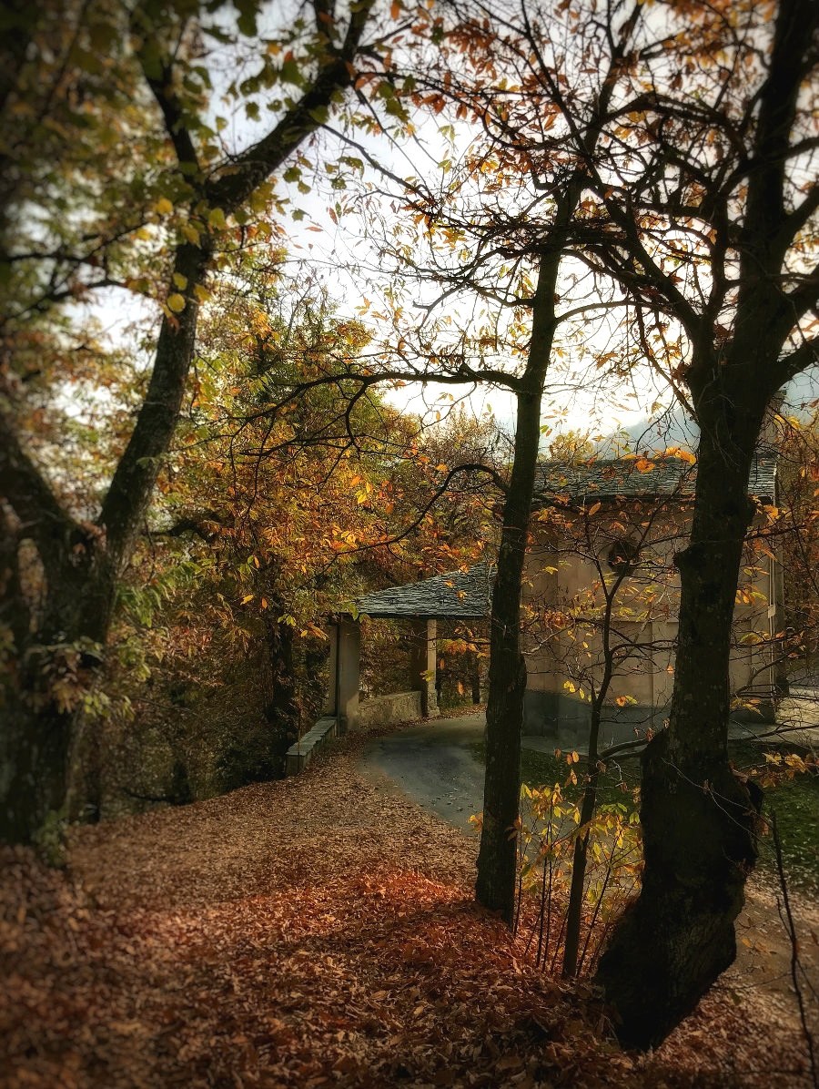 La chiesetta nel bosco