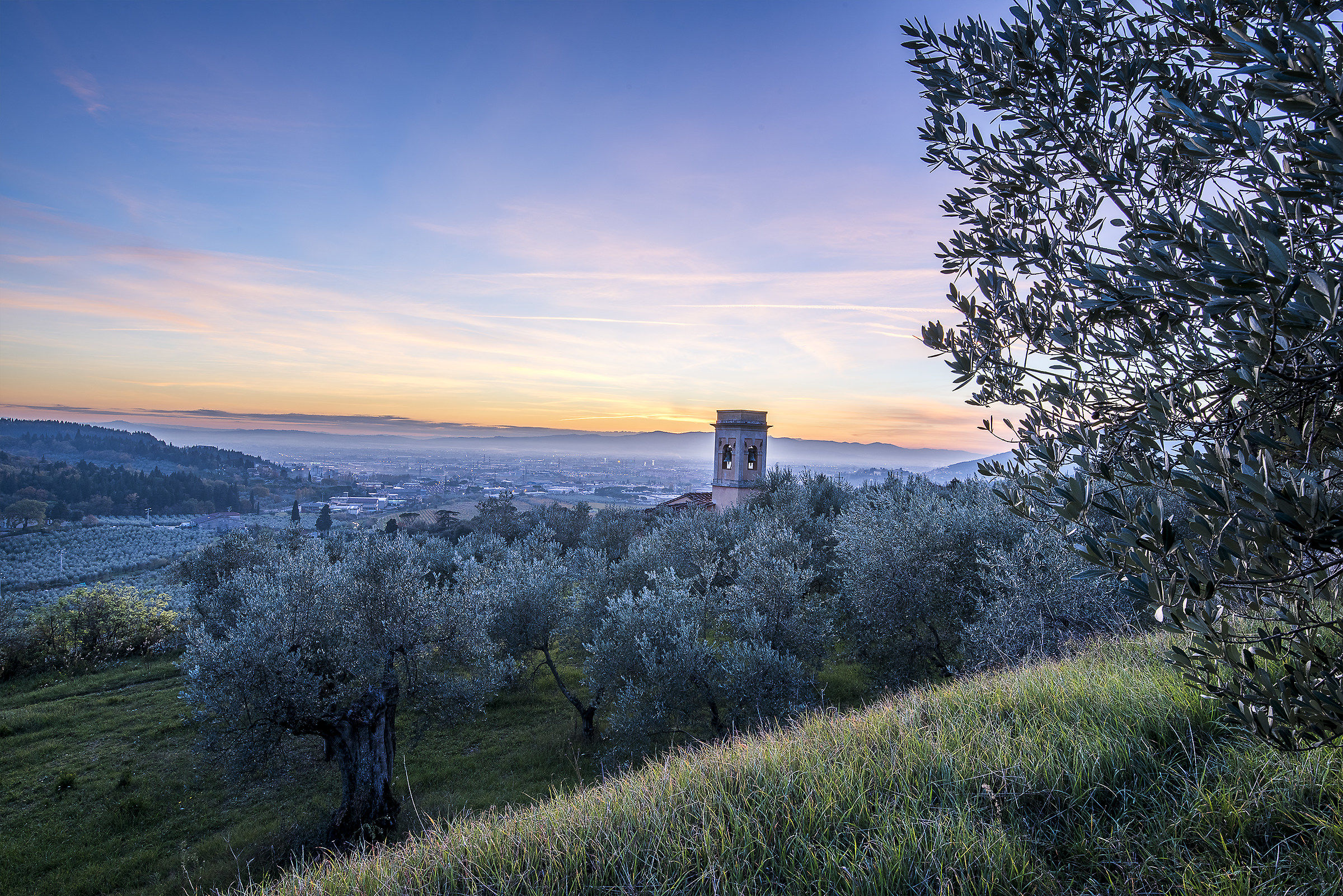 Church among olive trees
