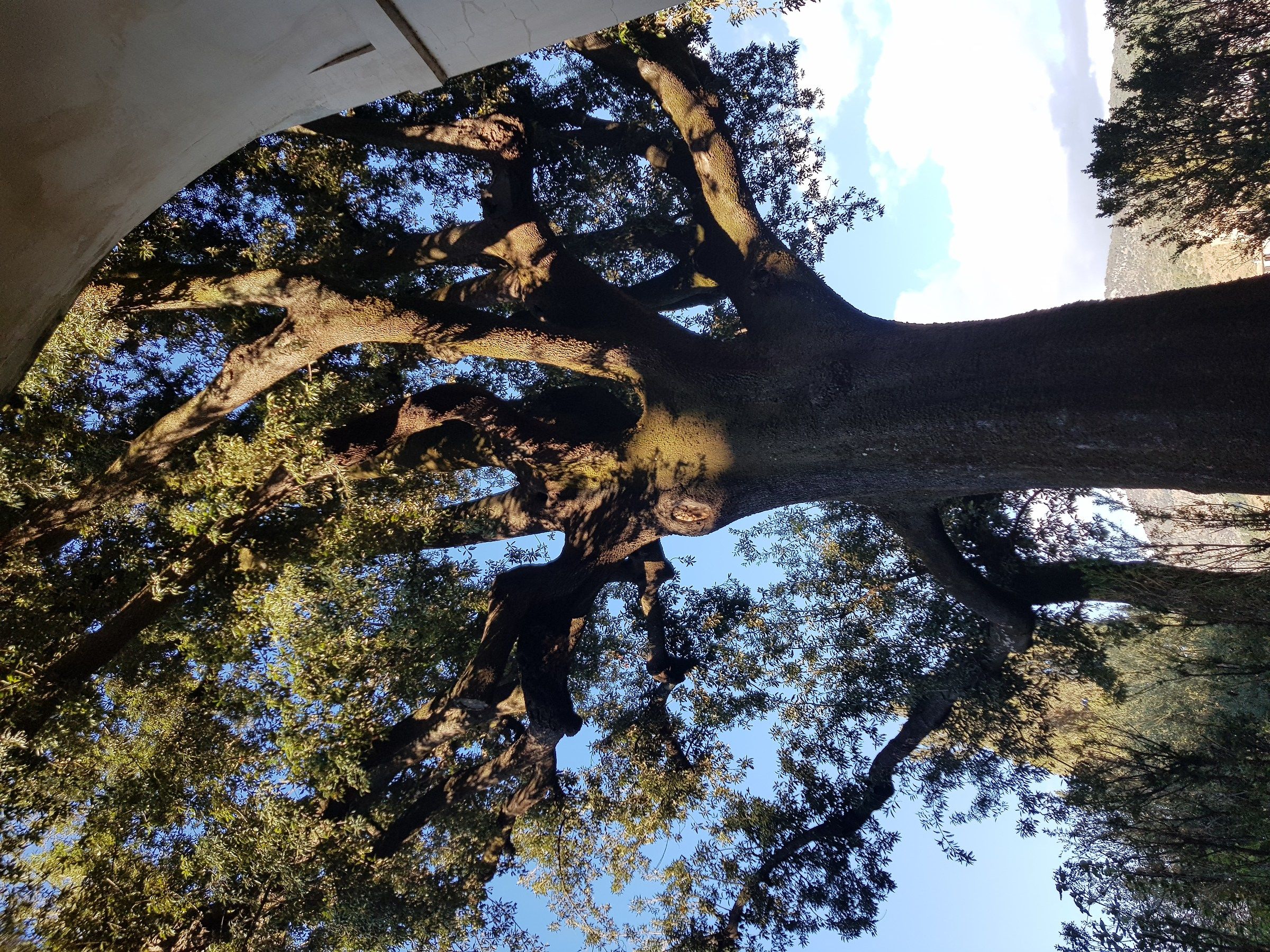 Un giorno che arriva,e ti cambia prospettiva... direzio