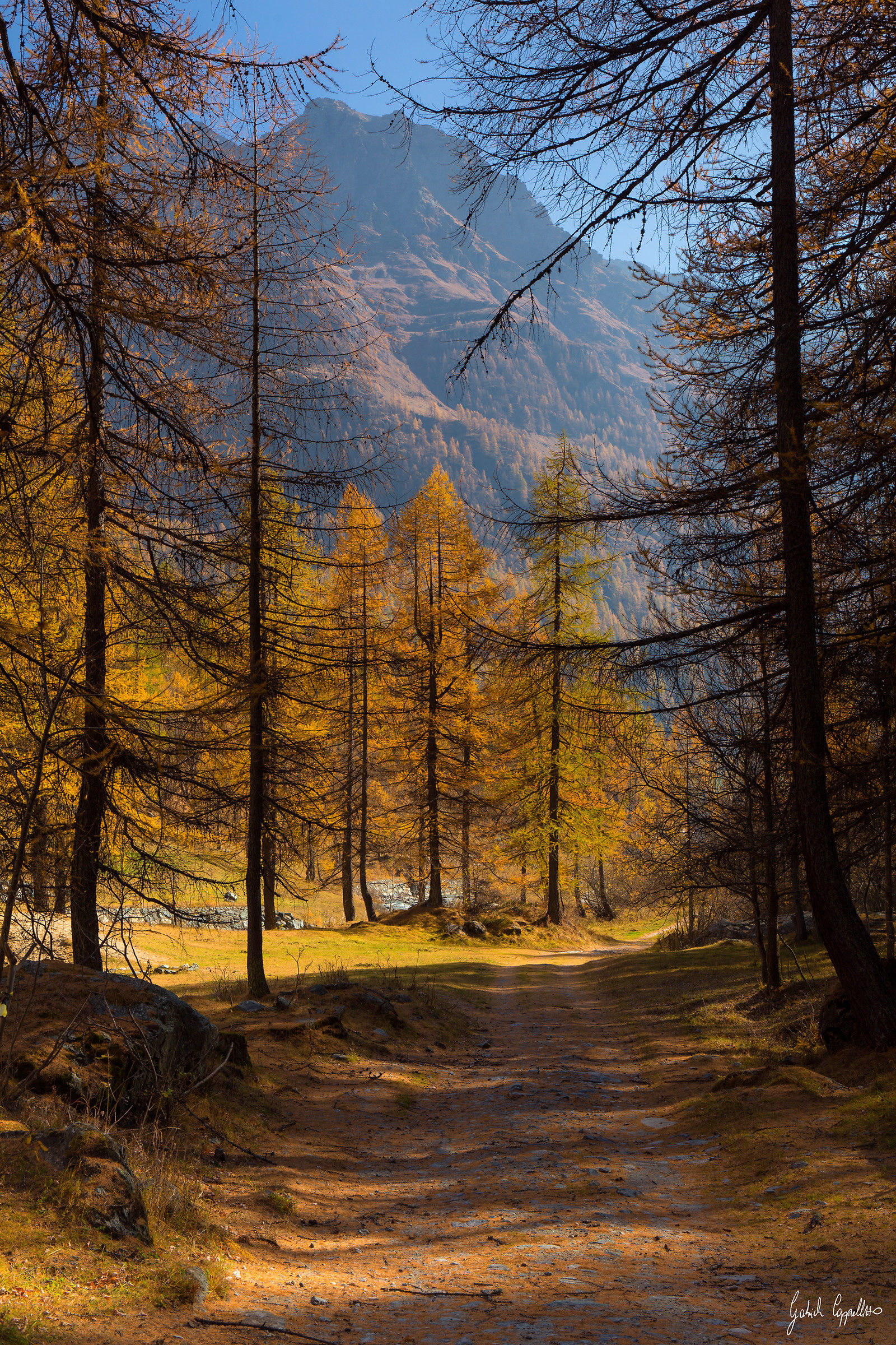 Sentieri per l'anima