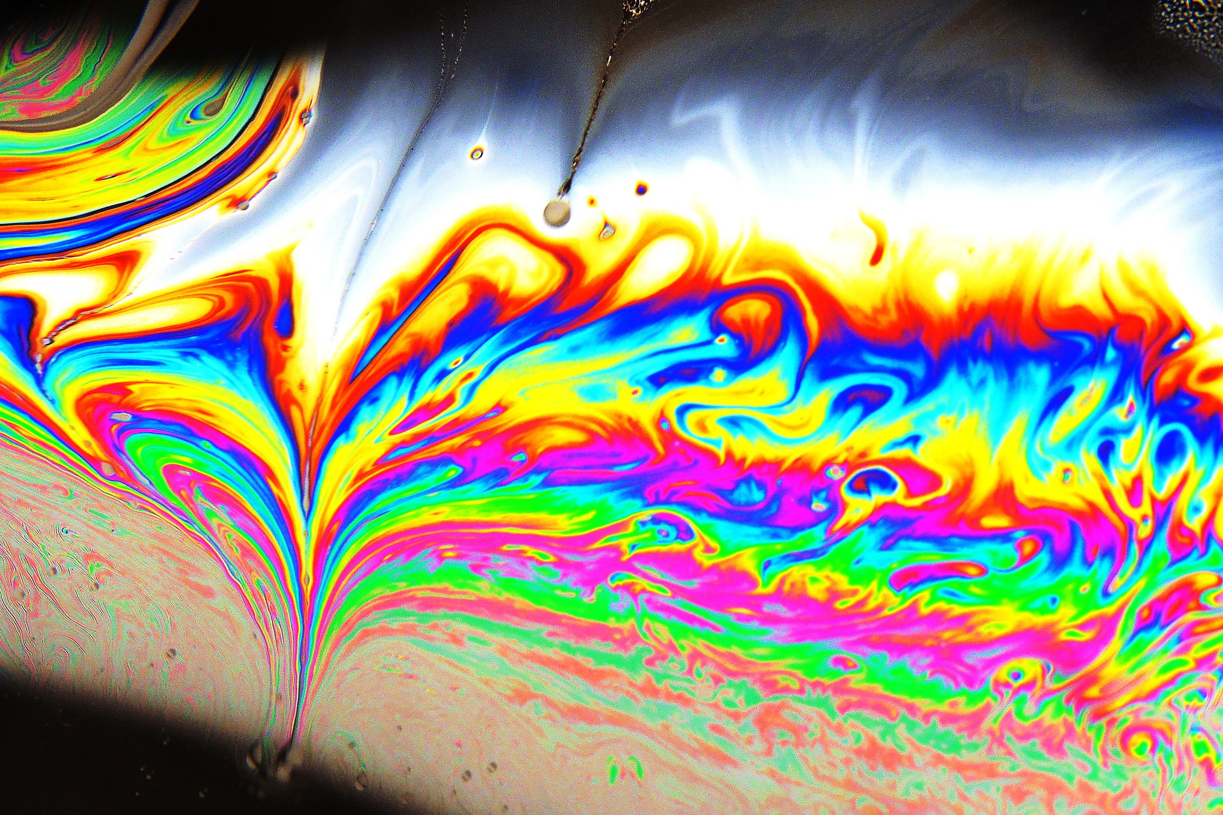 3522 - the shadow of the butterfly