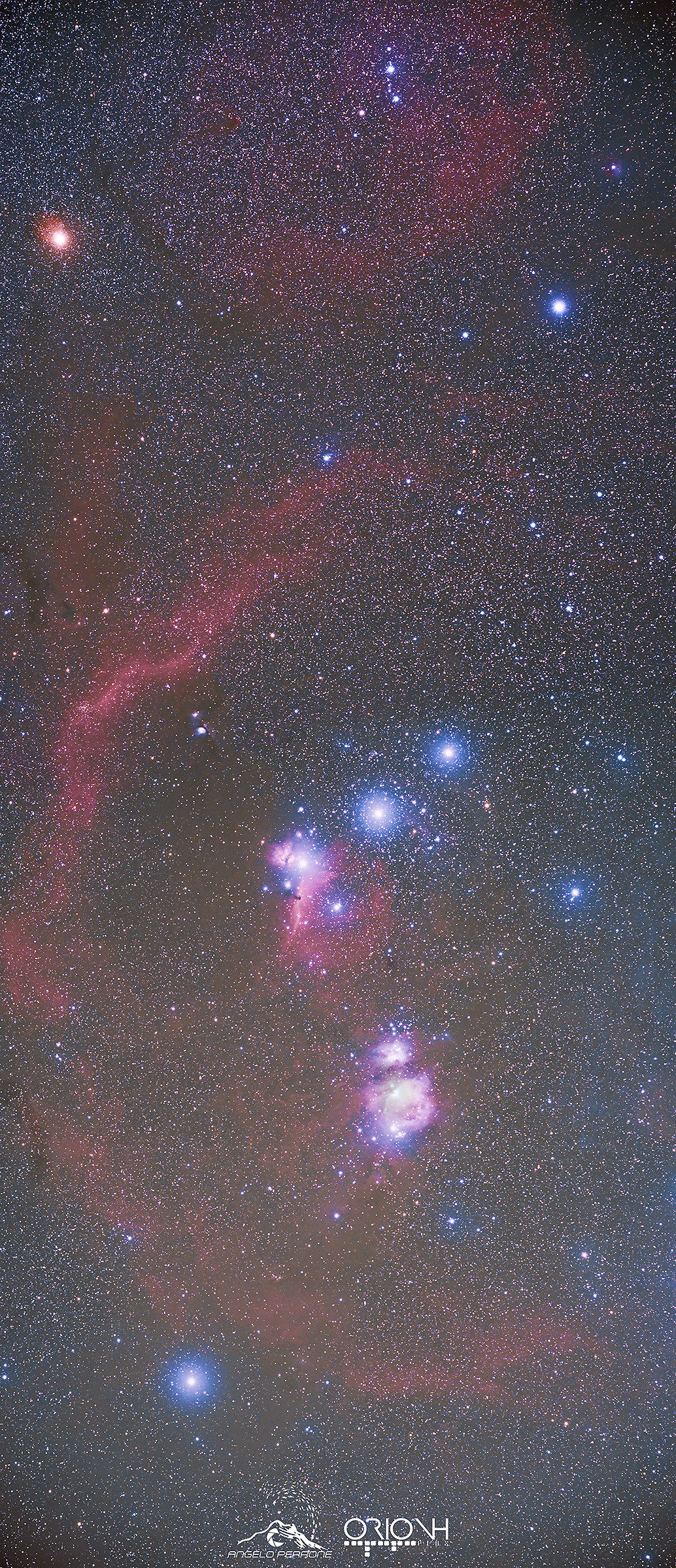 Orion - work in progress