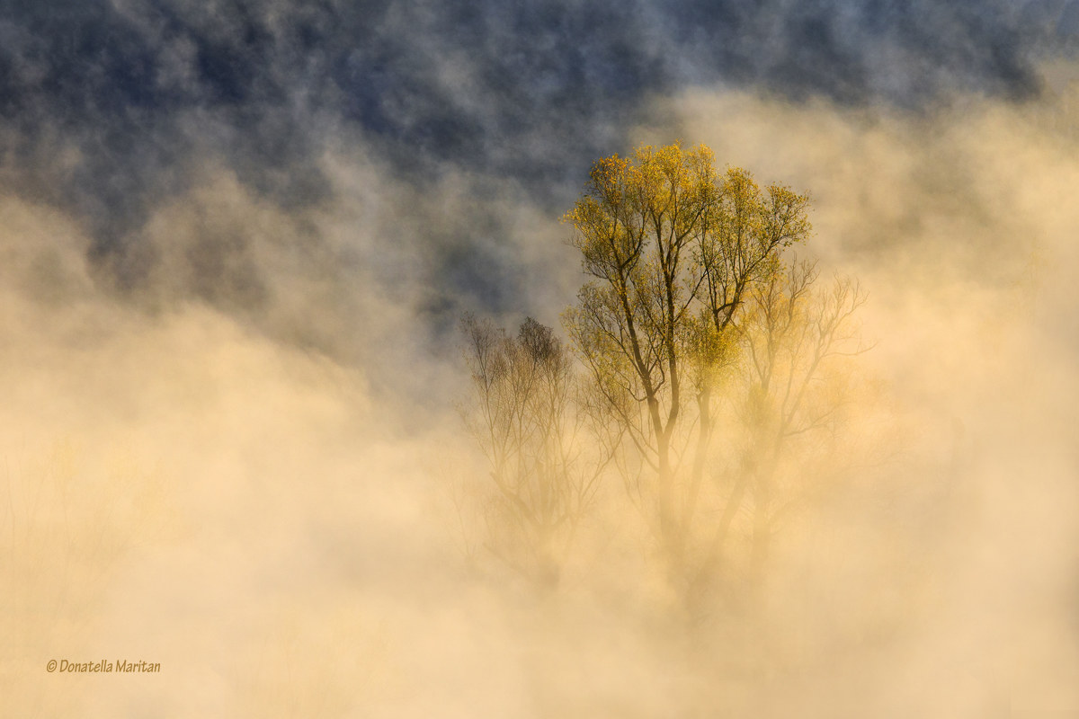 The colors of the morning