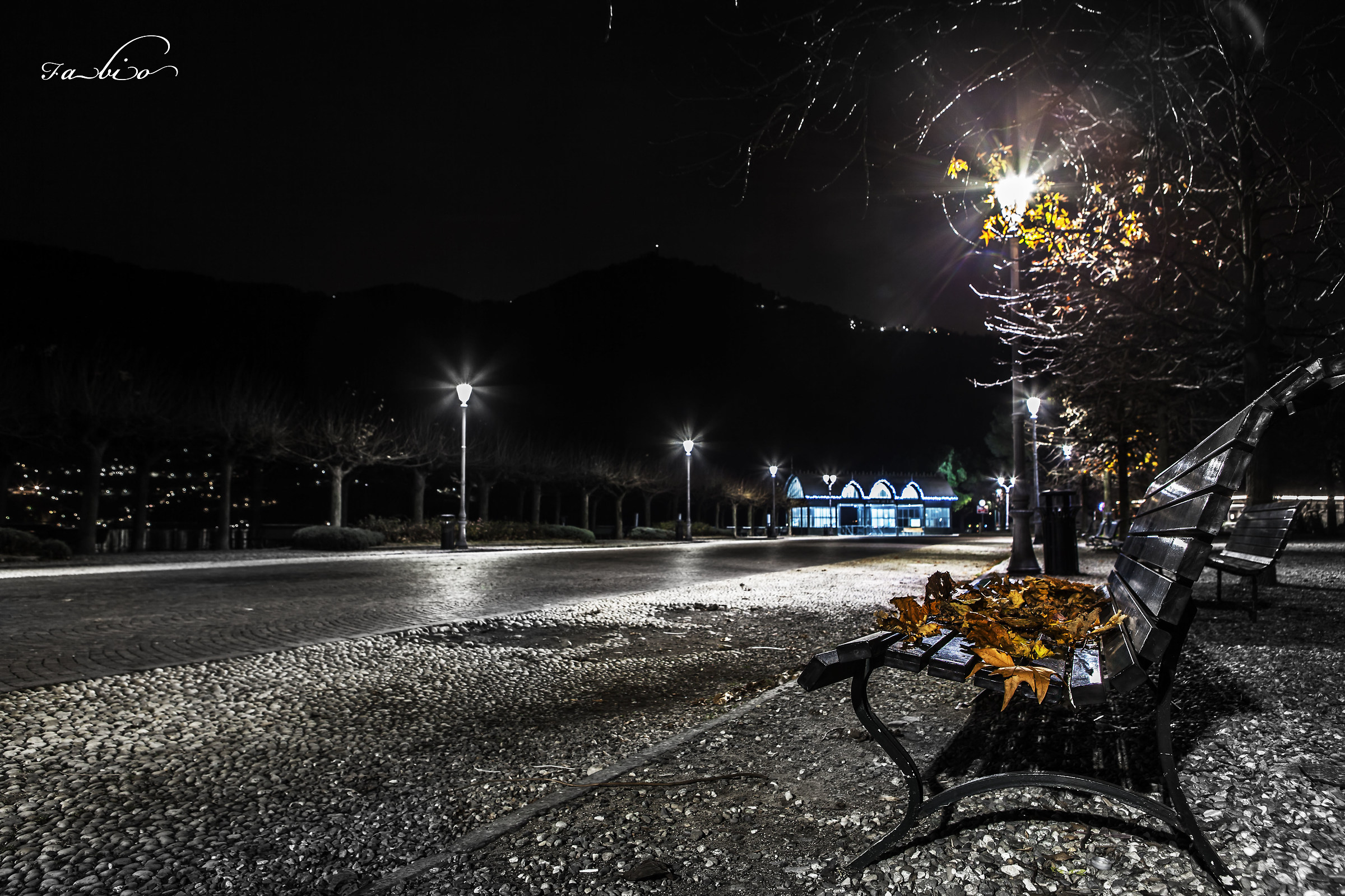 The silence of the night