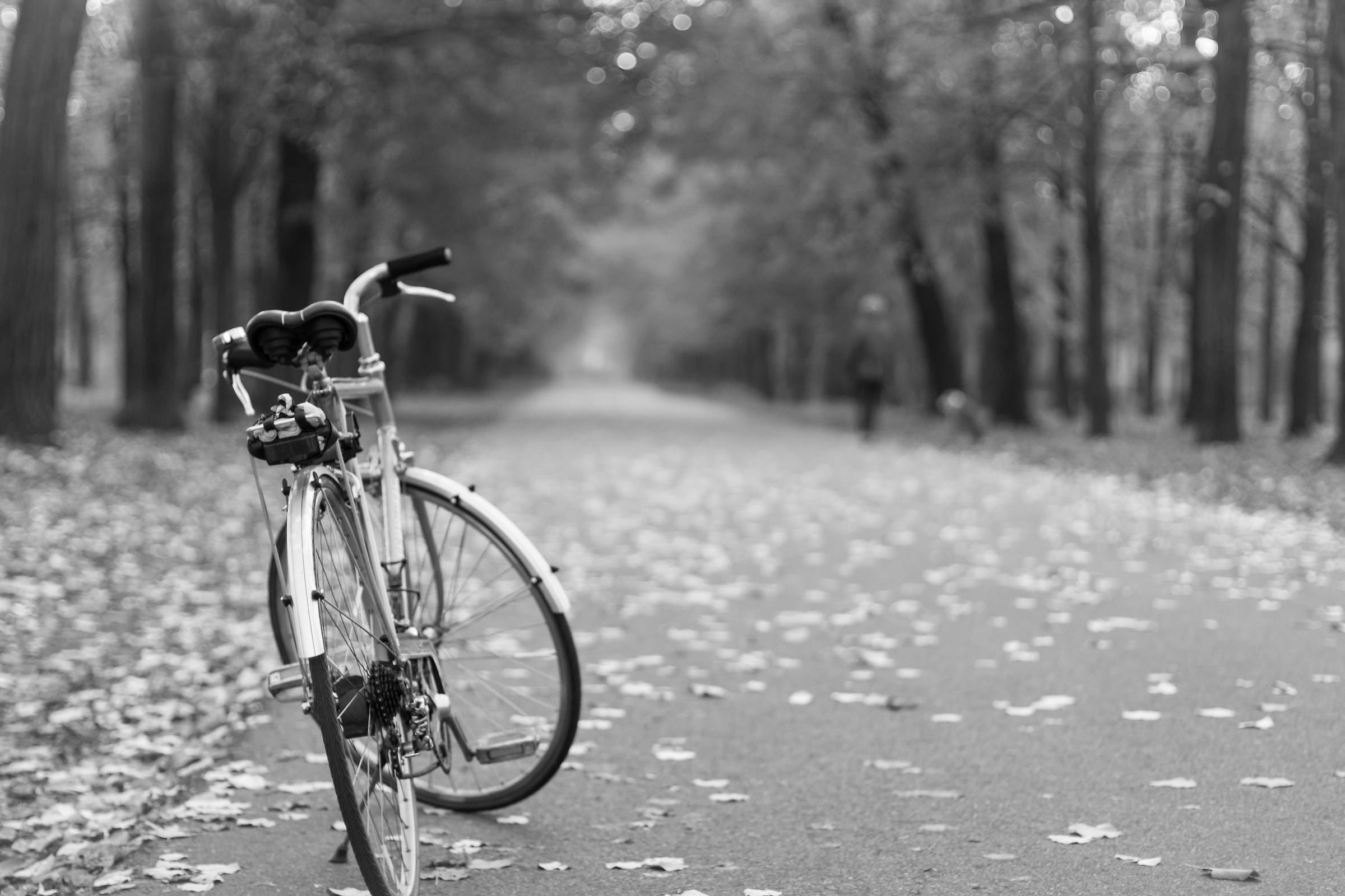 Pausa di riflessione