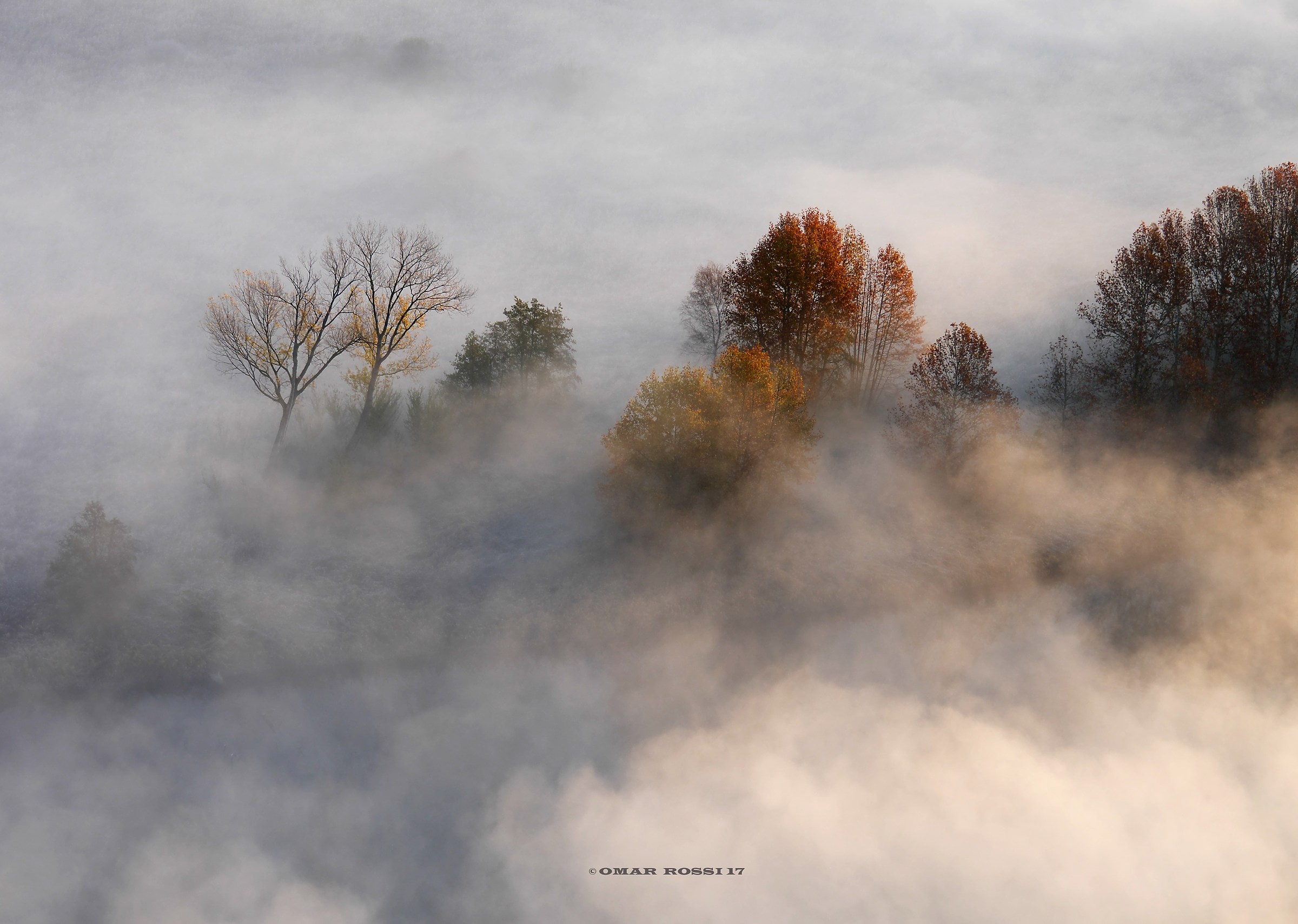 colori tra la nebbia