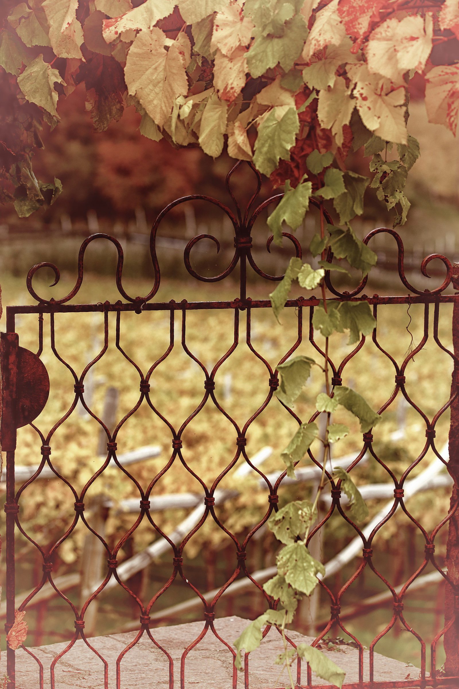 Beyond the gate ......