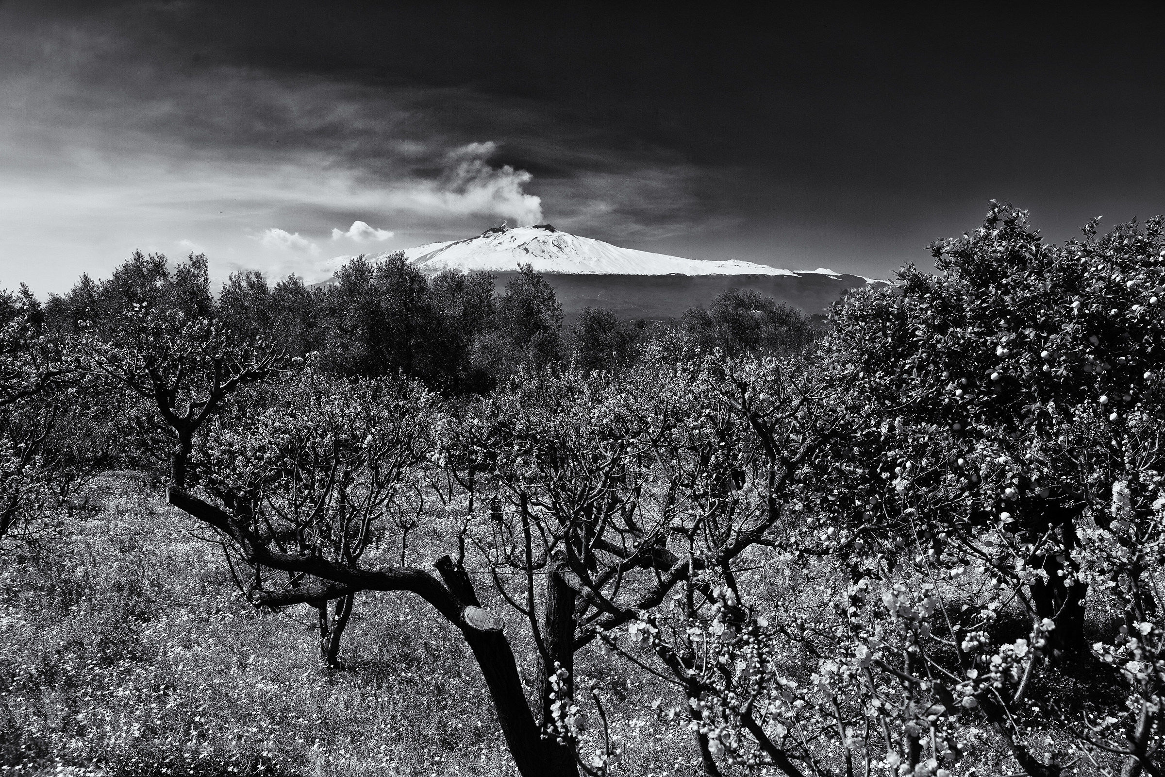 Etna in B & W