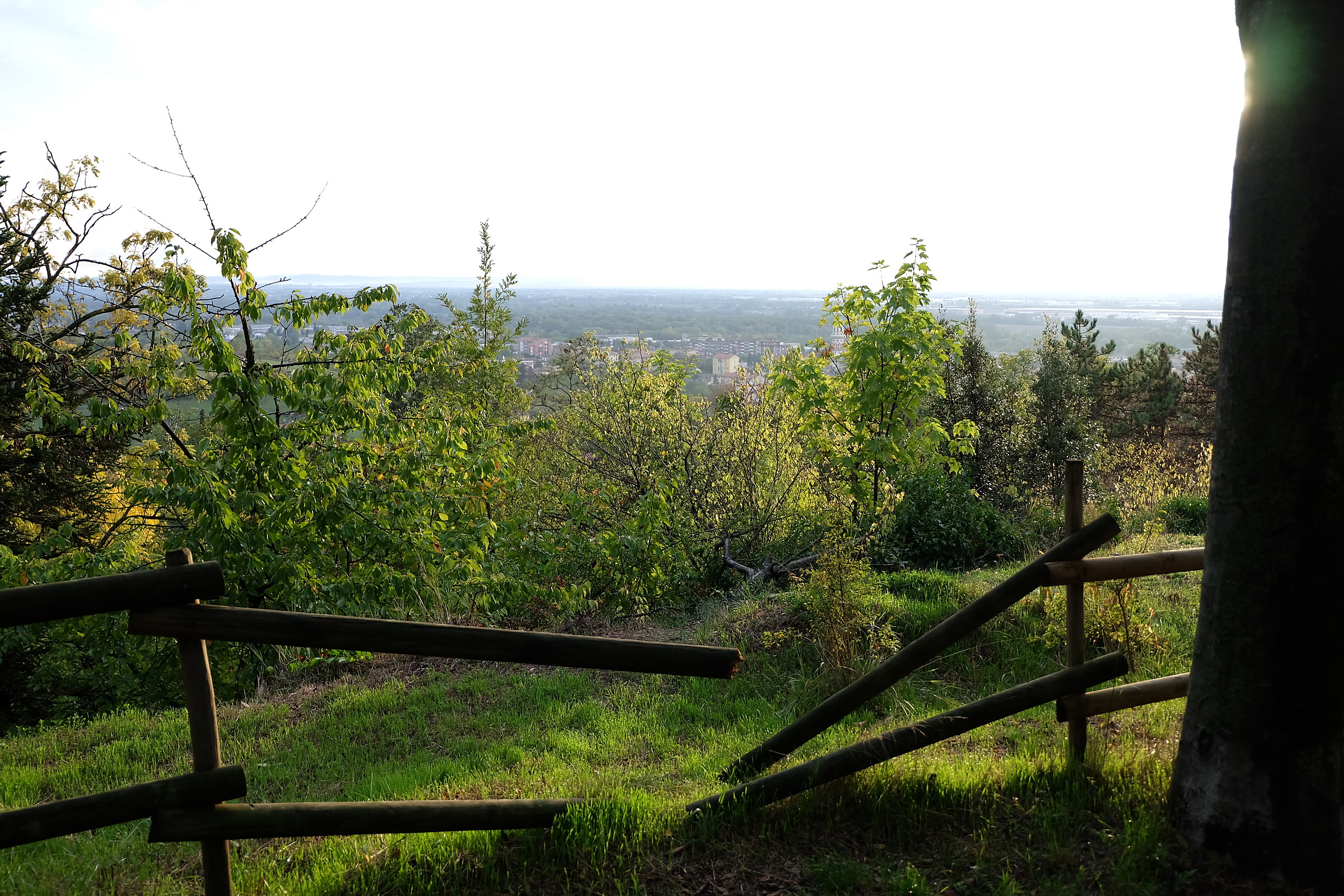 oil heart to feel fit